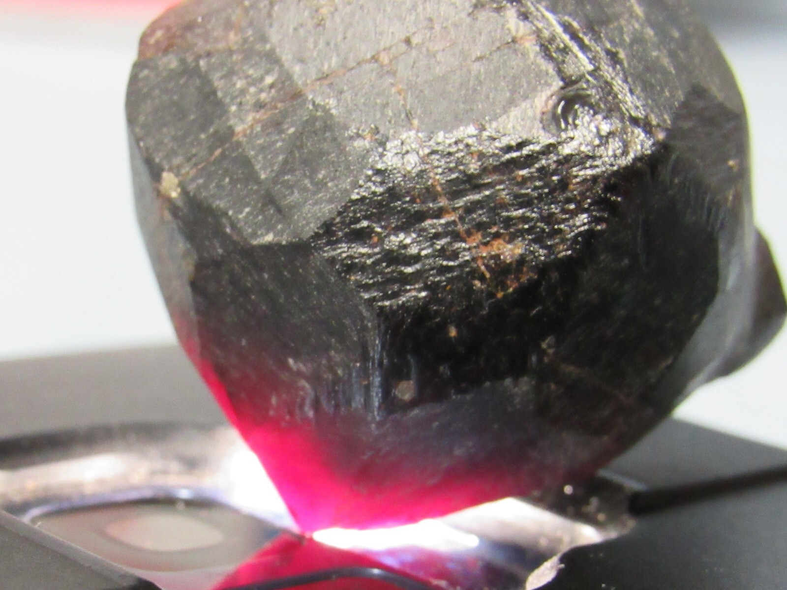 399ct gem quality translucent large natural terminated crystal Red Garnet