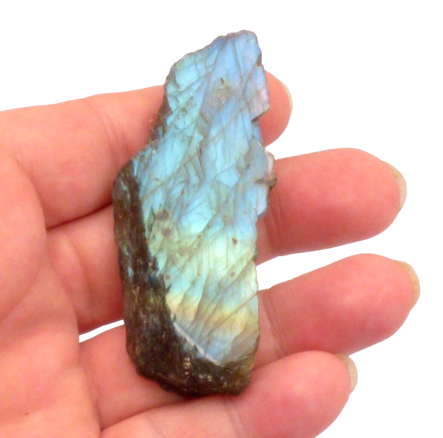 Labradorite Slice Blue Green Flash Iridescent Lustre Semi Polished Piece 7cm