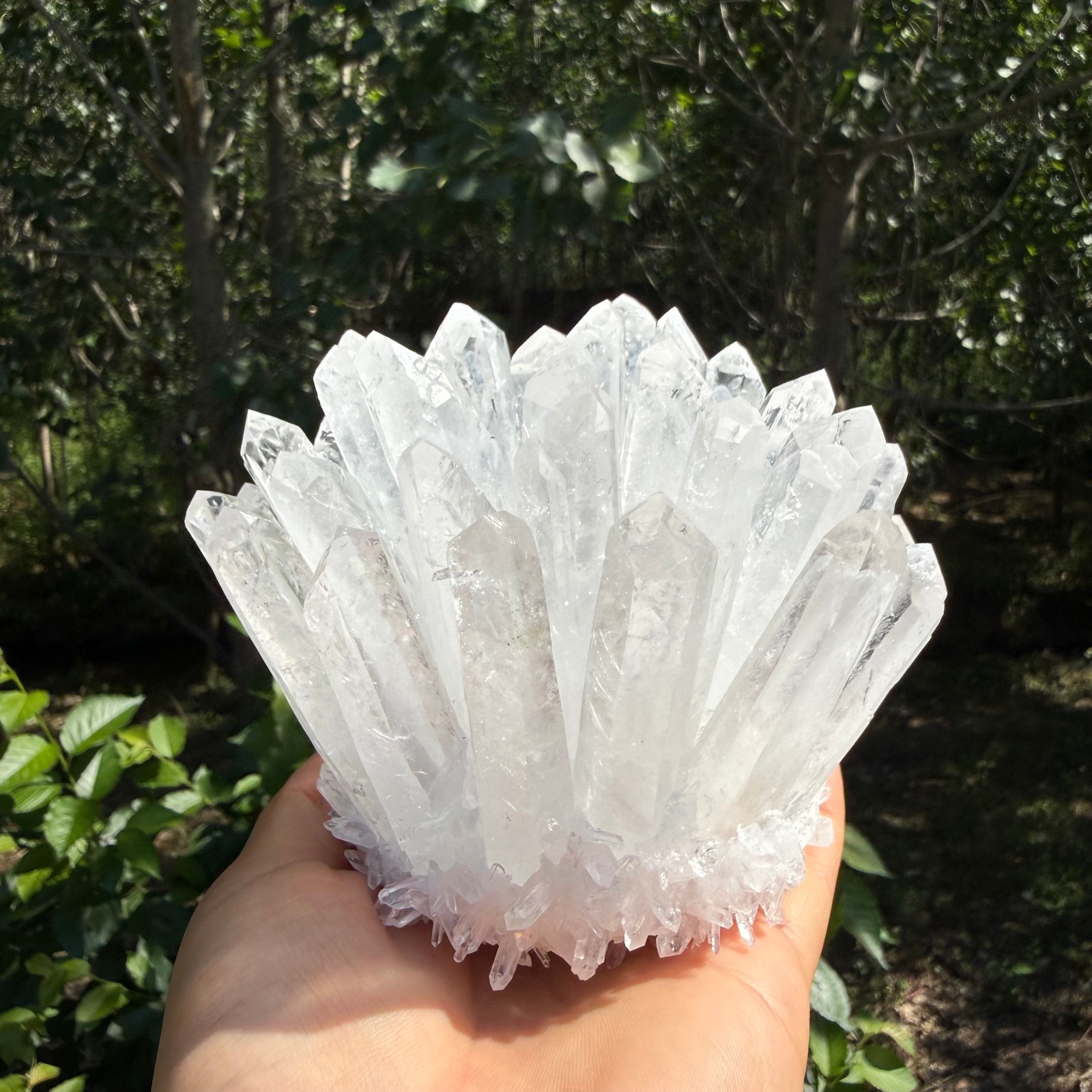 2.2LB Large Natural White Clear Quartz Cluster Crystal Mineral Healing 1pc