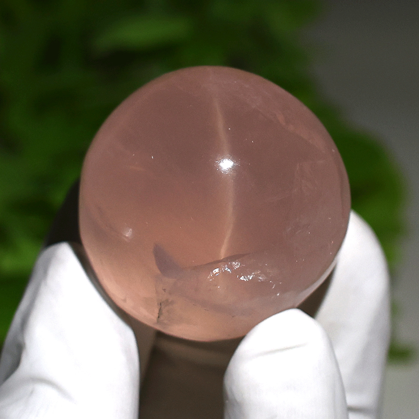 57g Gemmy Star Rose Quartz Palmstone—Celestial Love Stone— Six-Ray Star Asterism