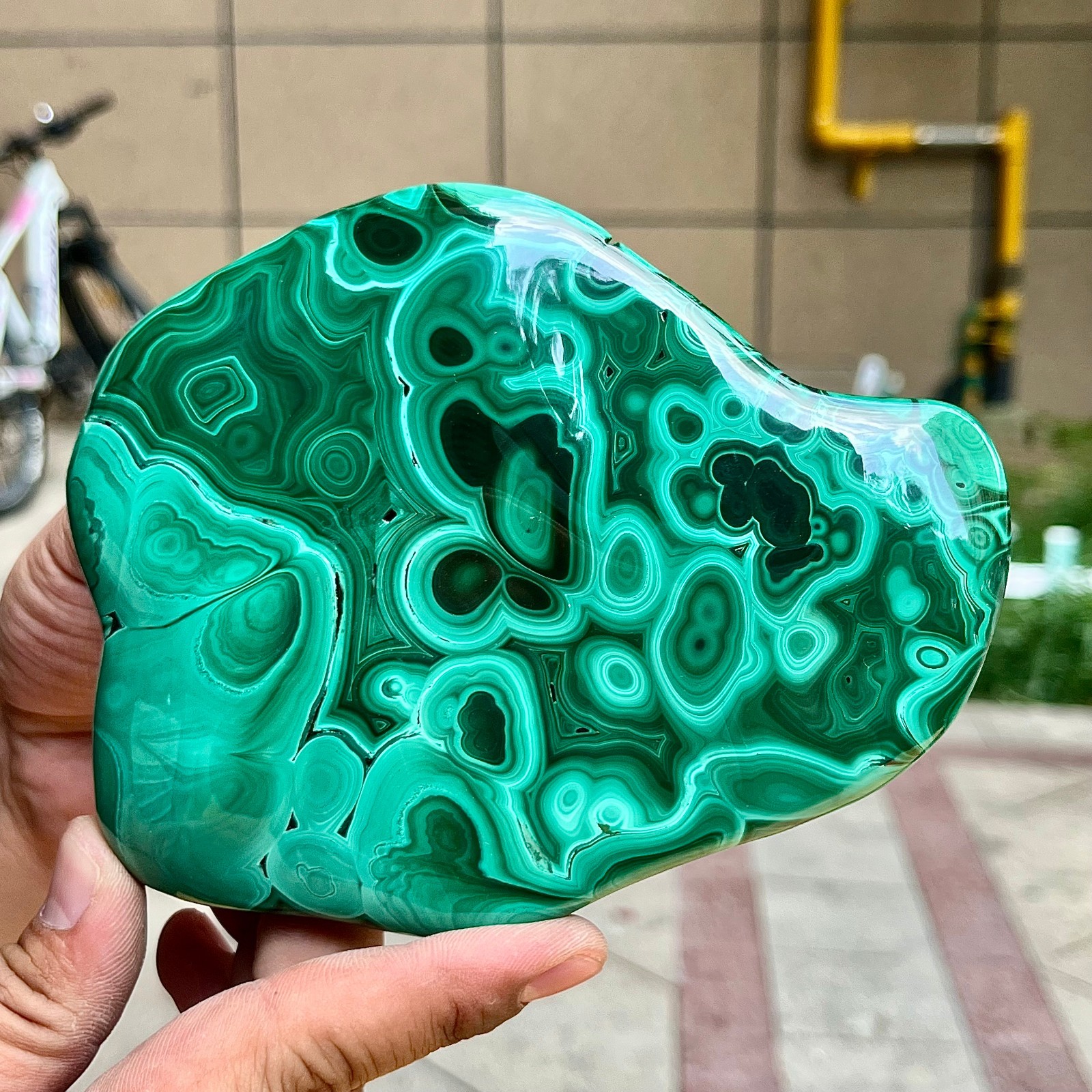2.2 lb Malachite Quartz Freeform One Side Polished Natural Crystal Specimen