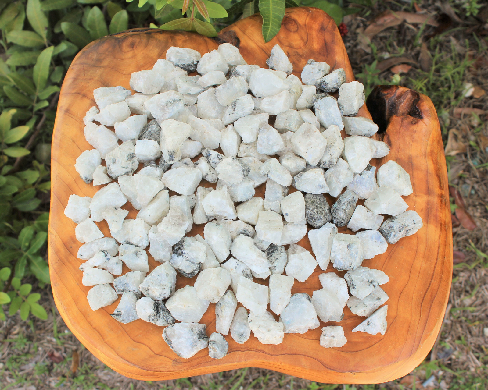Rough Rainbow Moonstone Chip Lots, 0.75 – 1.25″ (Raw Rainbow Moonstone Crystals)
