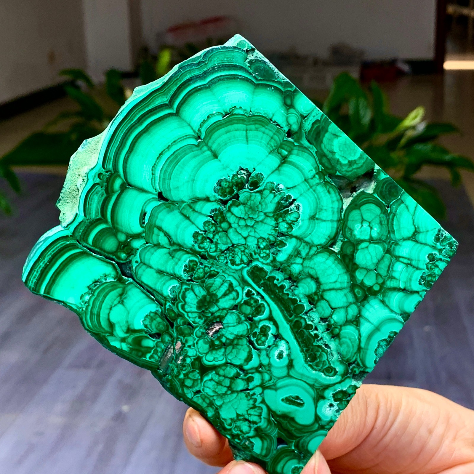 290G Natural glossy Malachite transparent cluster rough mineral sample