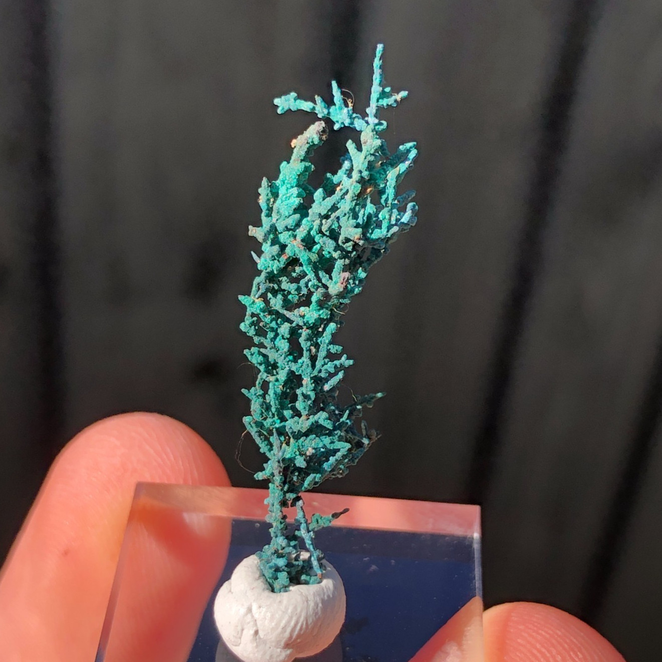3.4cm Copper Wire Crystals with Malachite Patina from Mount Isa, QLD, Australia