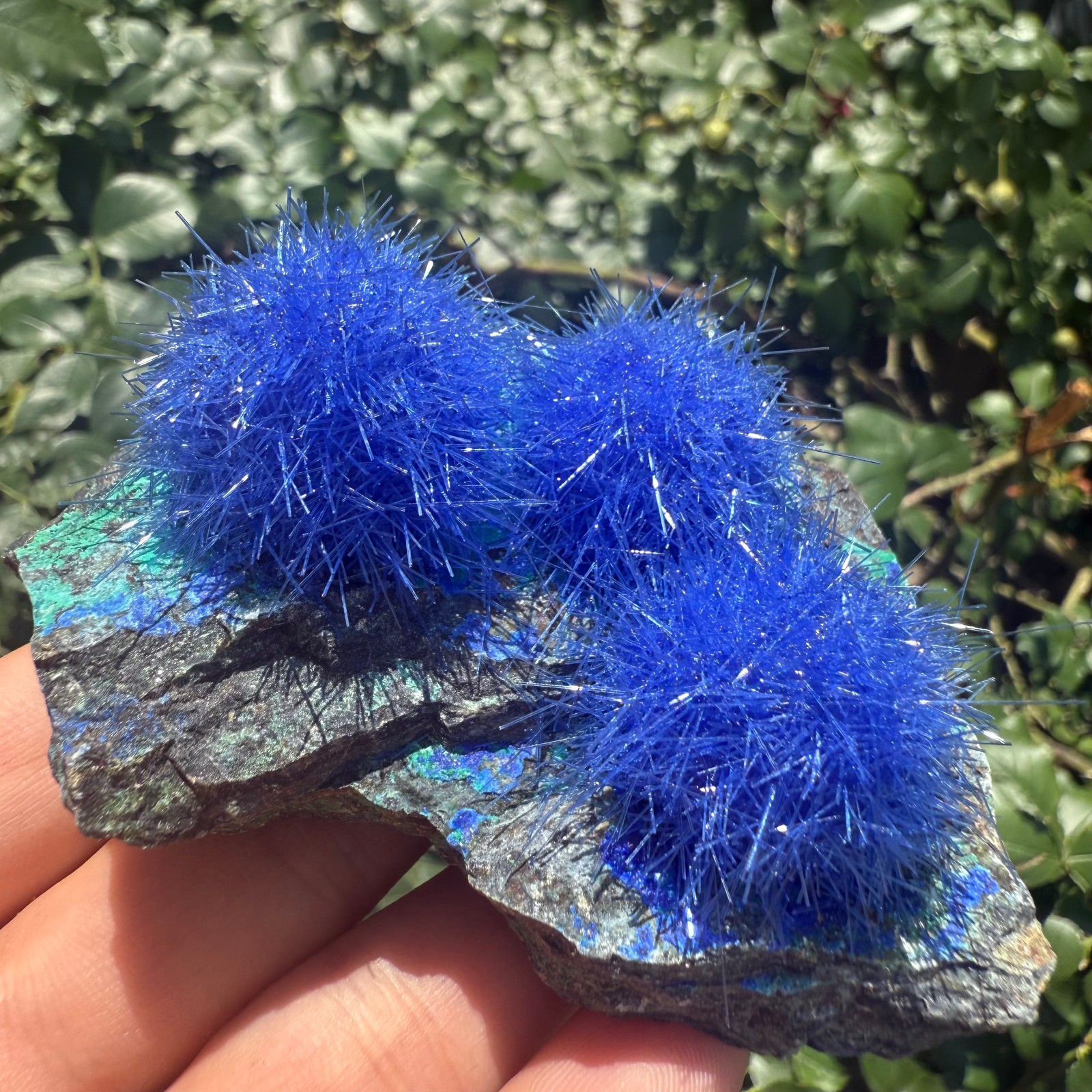 Raw Rough Dandelion Zeolite Cluster Blue Cave Quartz Crystal Specimen Decoration