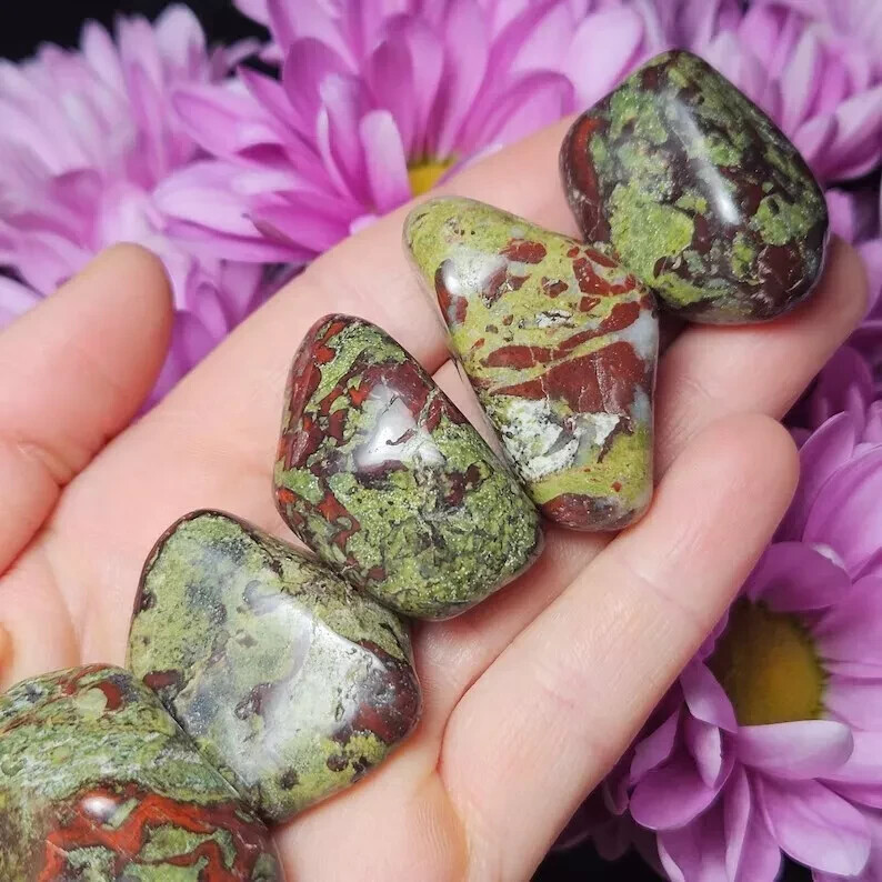 3PCS Tumbled Dragon Bloodstone Healing Palmstone Mineral Specimen Spiritual Gift
