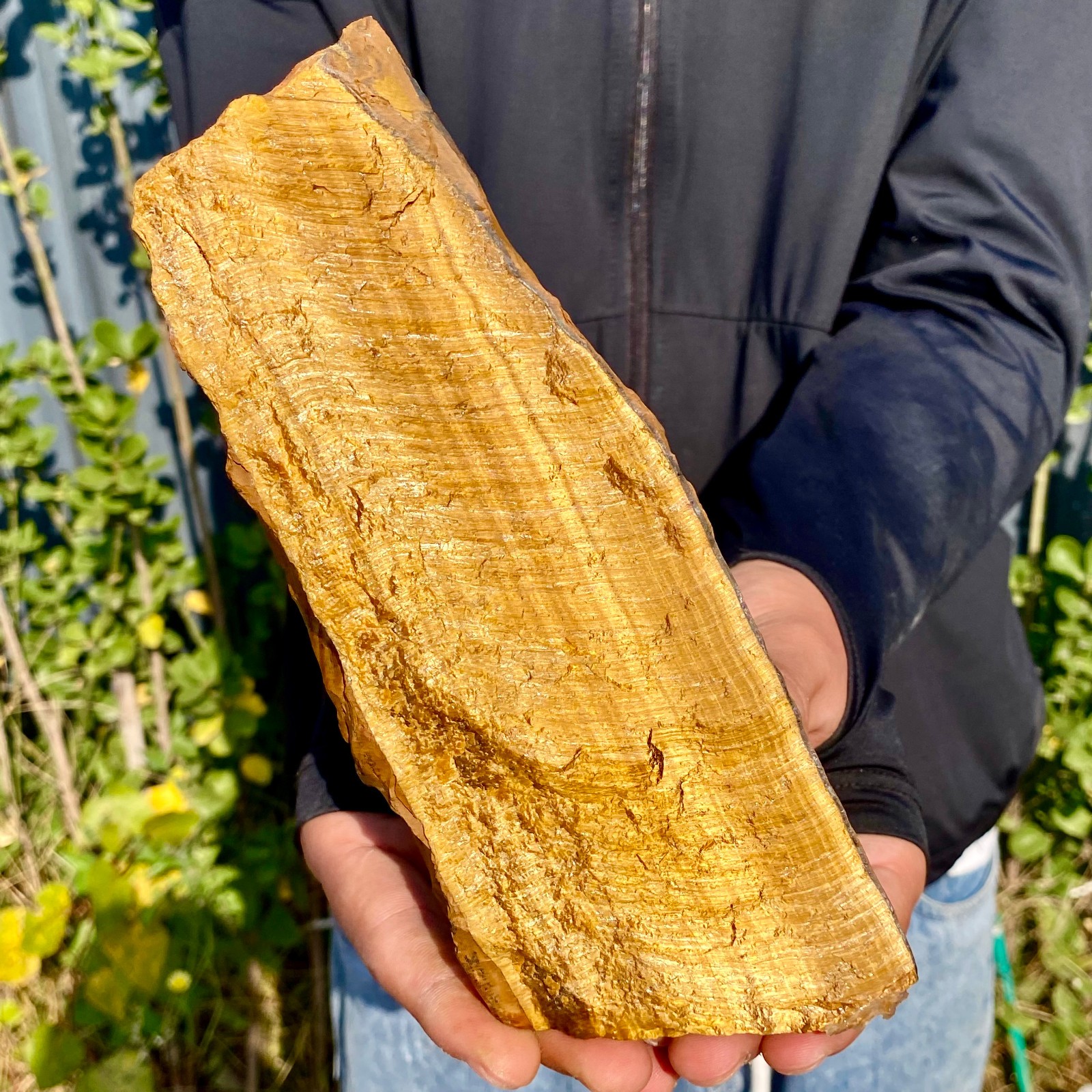 1.3LB Natural Tiger Eye Stone slice Quartz Crystal Polished Specimen healing