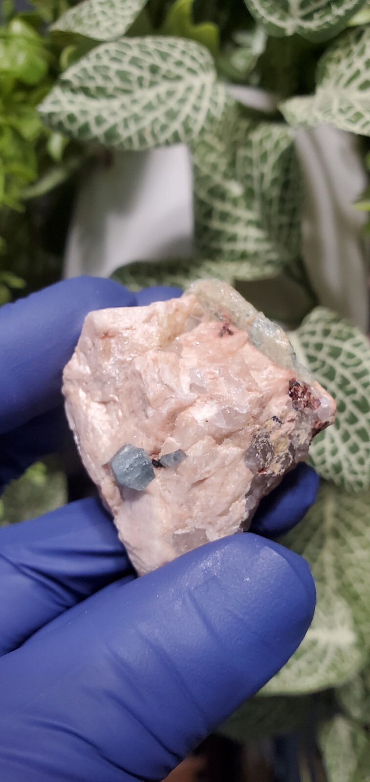 Aquamarine in Feldspar Crystal Specimen 40 grams