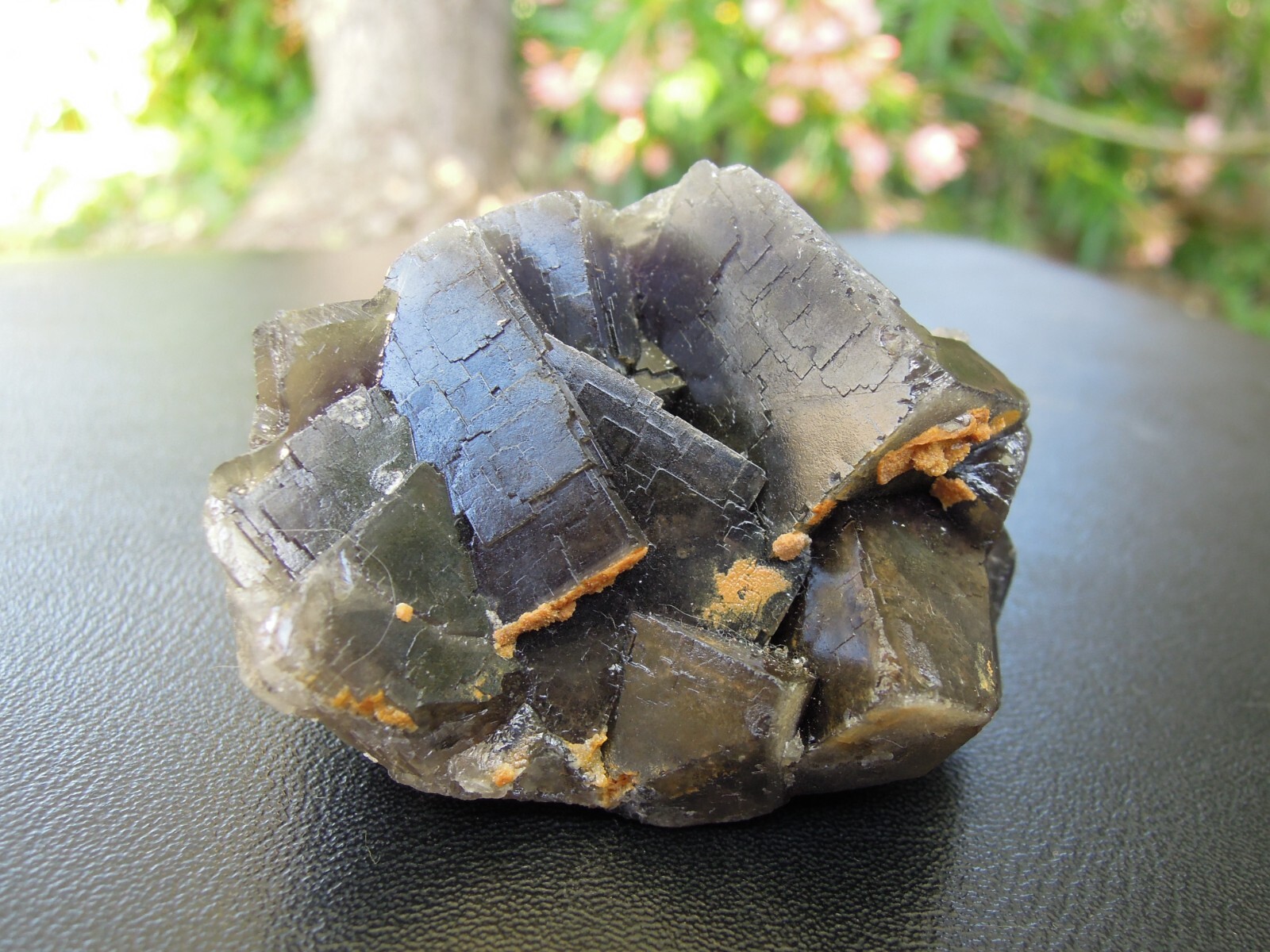 176g Natural Dark Blue Fluorite Crystal Cluster Mineral Speciman