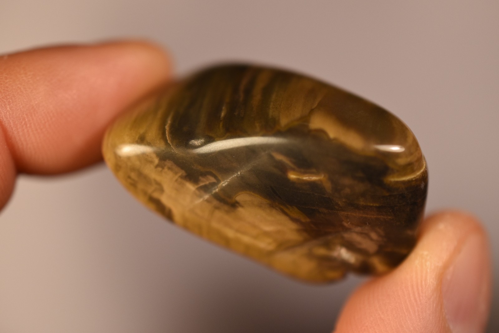2 *AUSTRALIAN PETRIFIED WOOD* Tumbled Stones 4cm 58.2g Natural Stone QLD