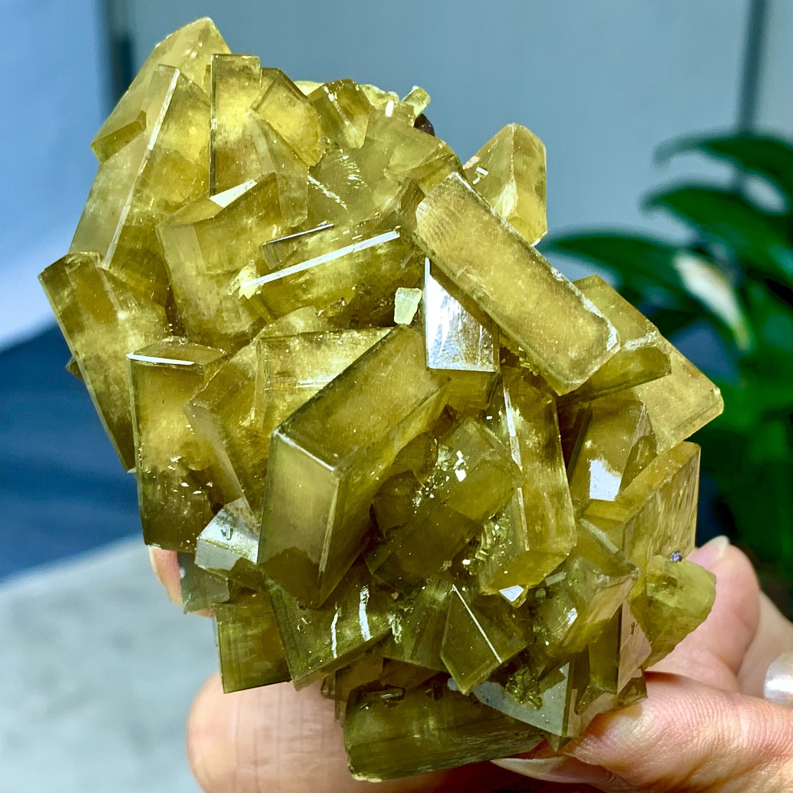 239G Natural Shiny Golden Cuboid Barite Based on purple Fluorite mineral crystal
