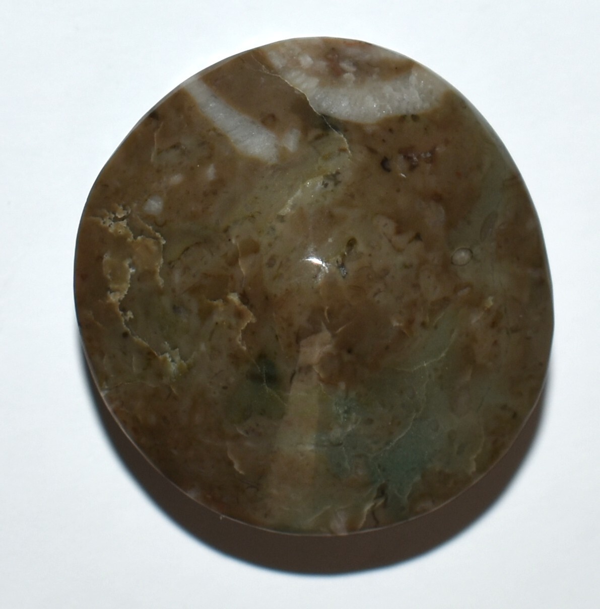 Natural Flowering Jade Blue Olive and Brown Setting/Display with Setting Options