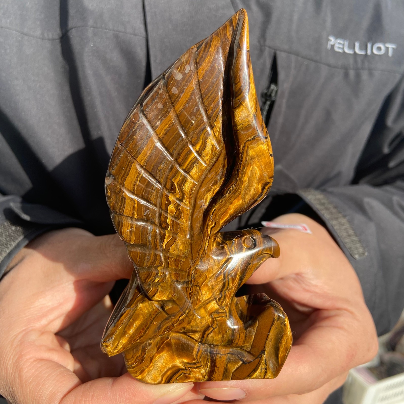 300g Natural Tiger-eye stone carved eagle-shaped quartz crystal mineral specime