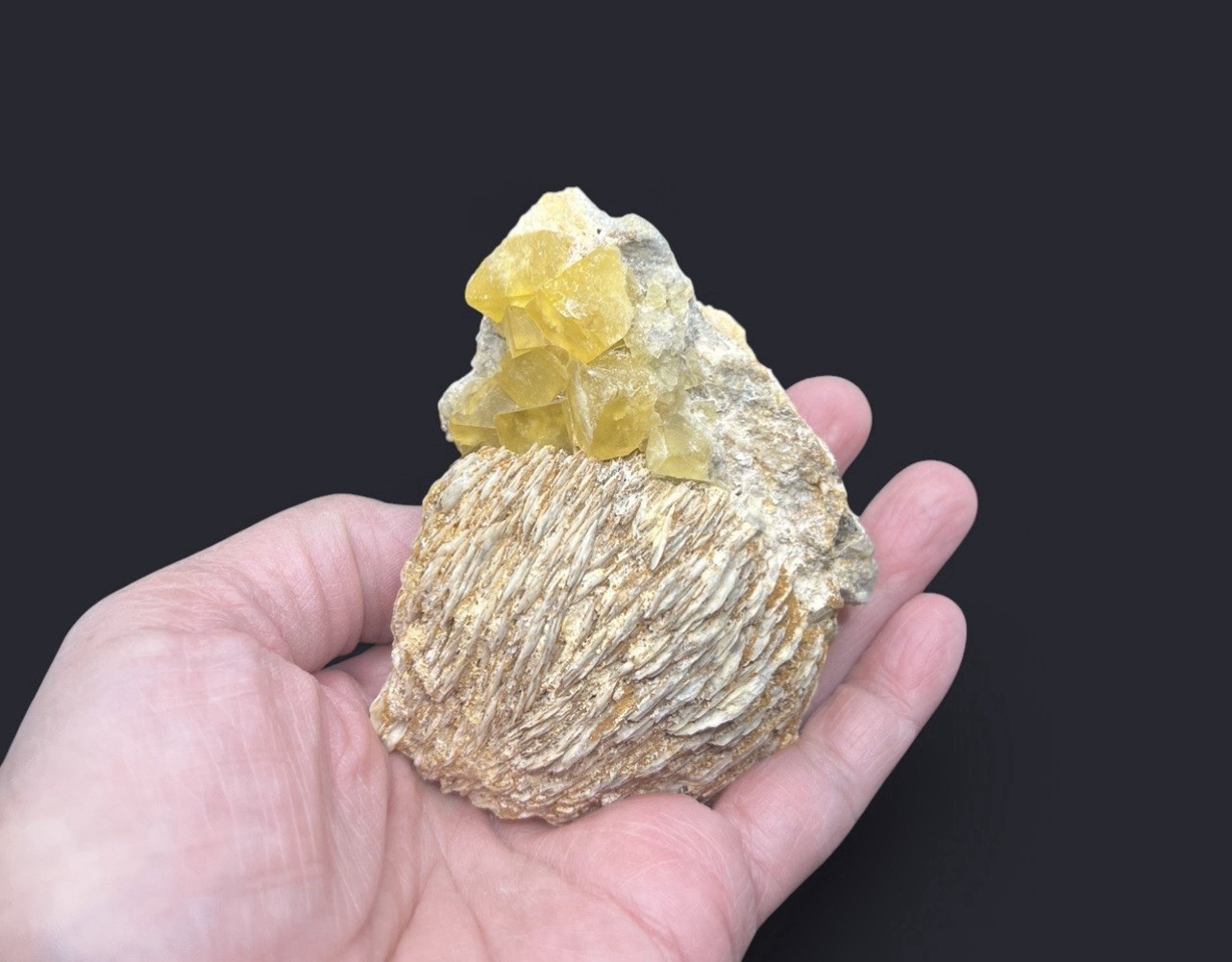 Yellow Fluorite Cubed Stone on Barite from Morocco 309g Over 3in -Fluorescent