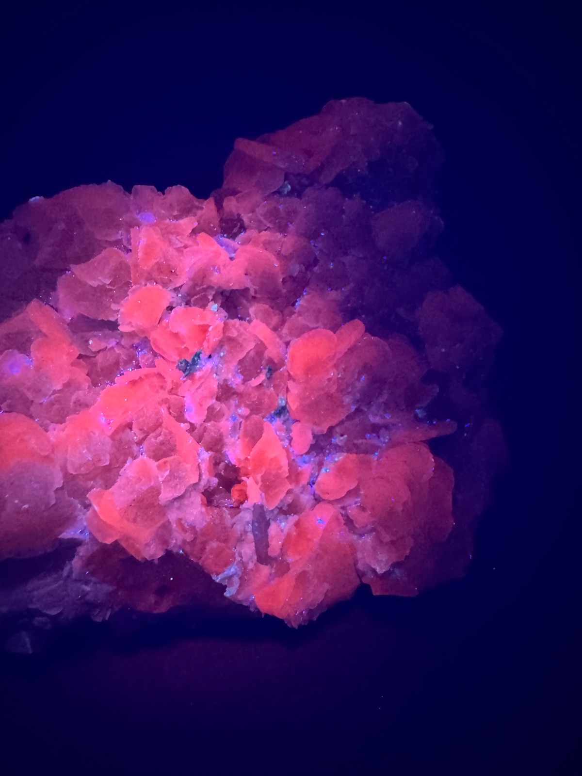 6342 Pink Petal Coin Calcite with Green Mica and FABULOUS UV 140g Fu Jian