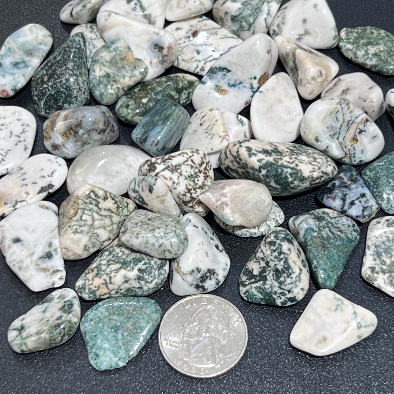 Tree Agate Tumbled Stones (By The Piece Or Pound) Bulk Wholesale Polished Supply