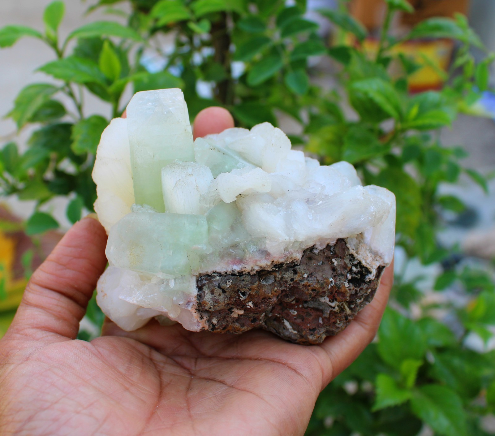 green apophyllite crystals w/ stilbite on matrix minerals specimen #A43