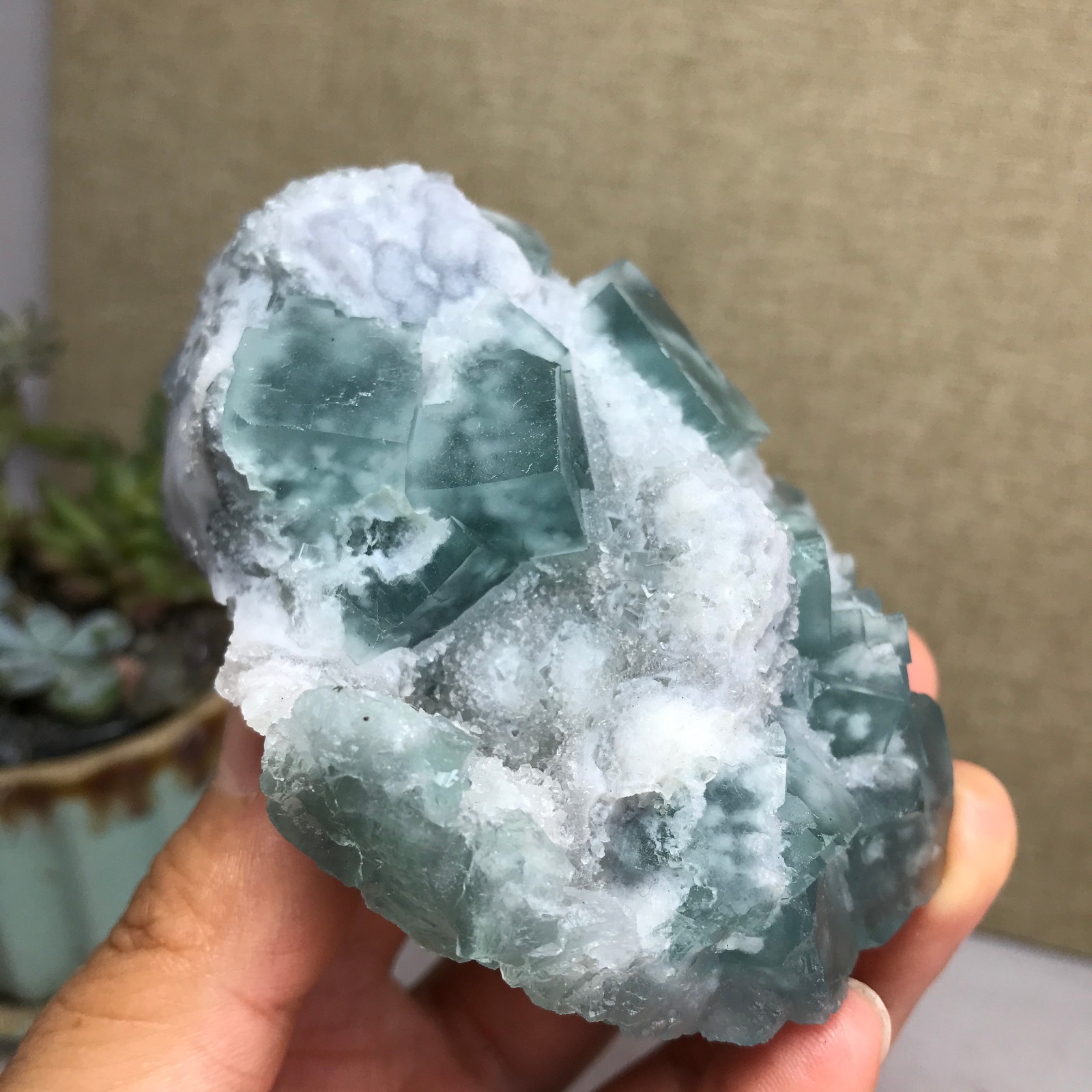 271g NATURAL Green Cubic FLUORITE paragenesis Crystal Cluster Specimen A4776