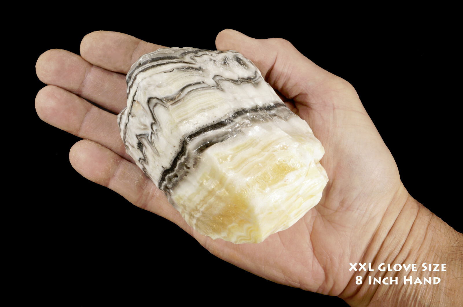 ZEBRA ONYX 4″ 2 Lb Rough Rock Mineral Raw Root Chakra Healing Crystal Stone