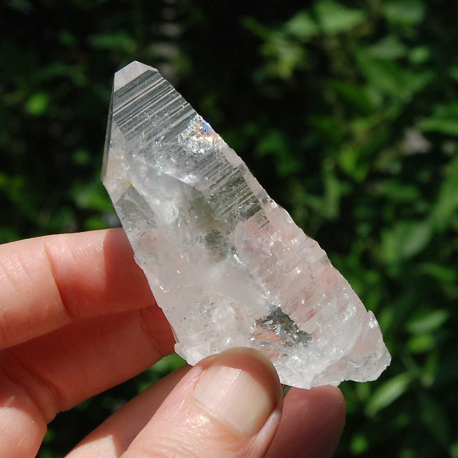 3in 87g DT Lemurian Seed Quartz Crystal Laser Master Starbary, Internal Rainbows