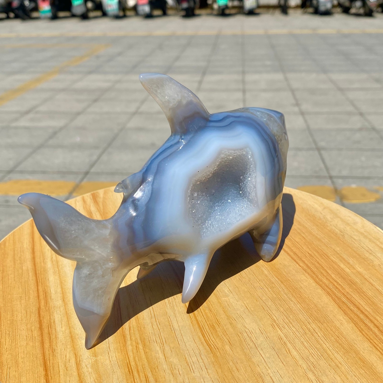 1.8LB Natural Agate Hand Carved Shark Figurine, Ocean Power Crystal Statue