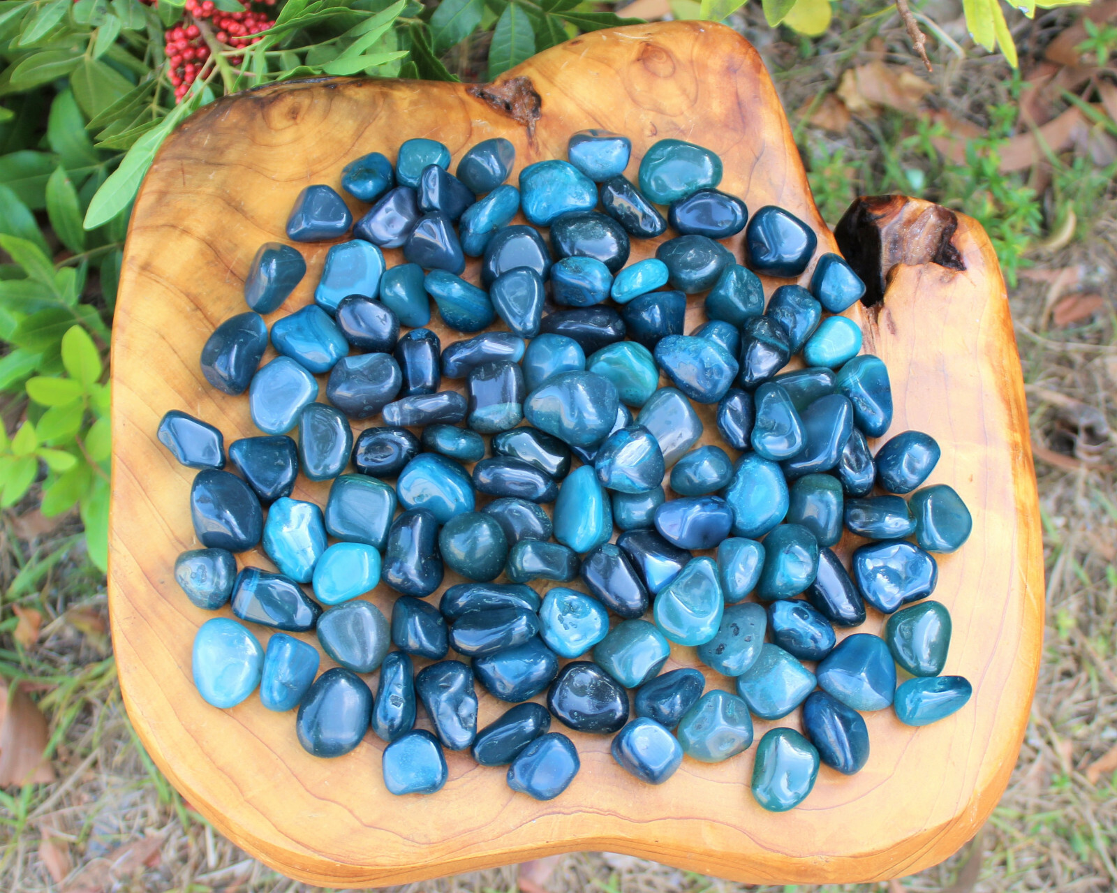 1 lb Bulk Blue Agate Tumbled Stone Premium Quality ‘A’ Grade, Dyed, Teal 16 oz