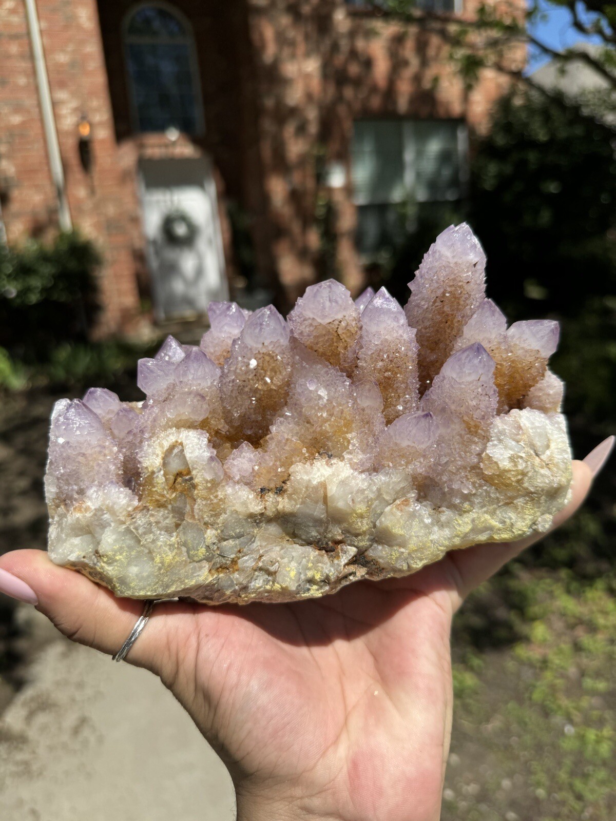 High Grade XXL (5.7lbs) Long Finger Deep Lavender Spirit Cactus Quartz cluster