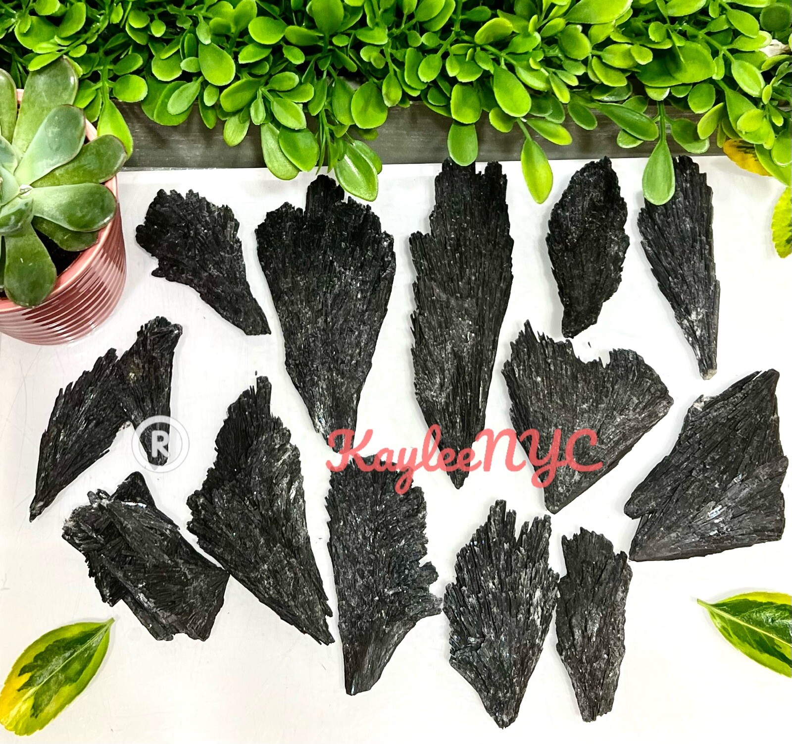 Wholesale Lot 1 Lb Natural Black Kyanite Raw Crystal Healing Energy
