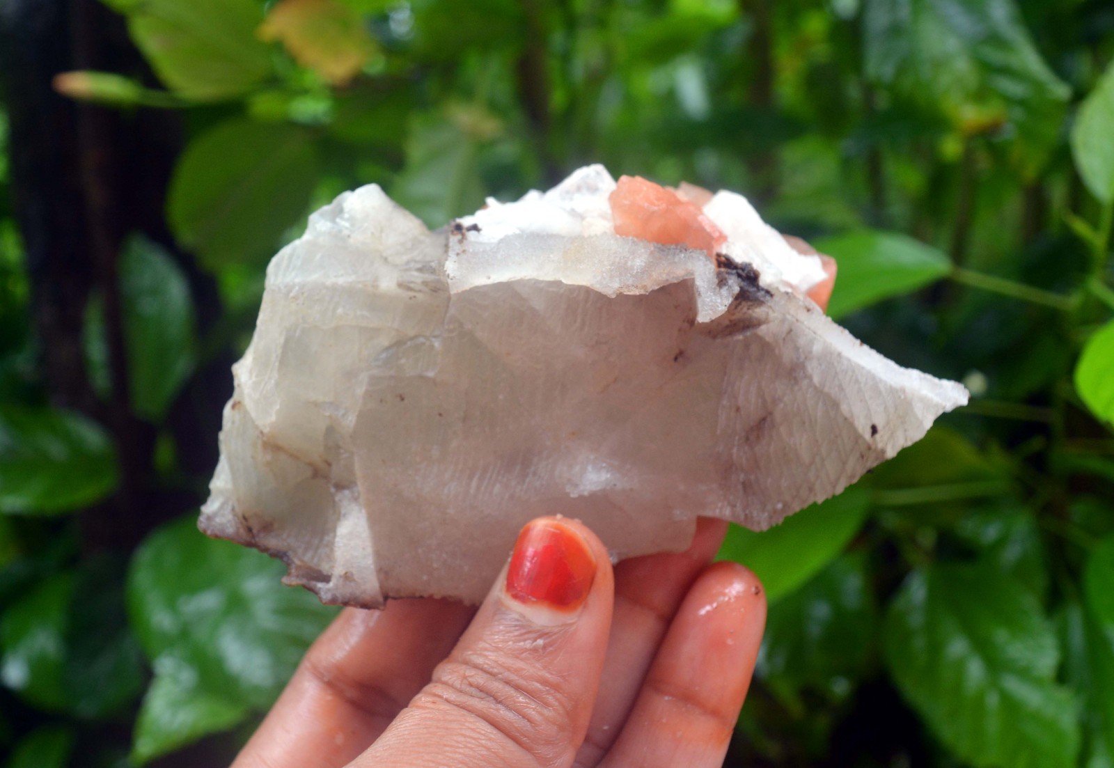 stilbite crystals w/ calcite & matrix minerals specimen j-6