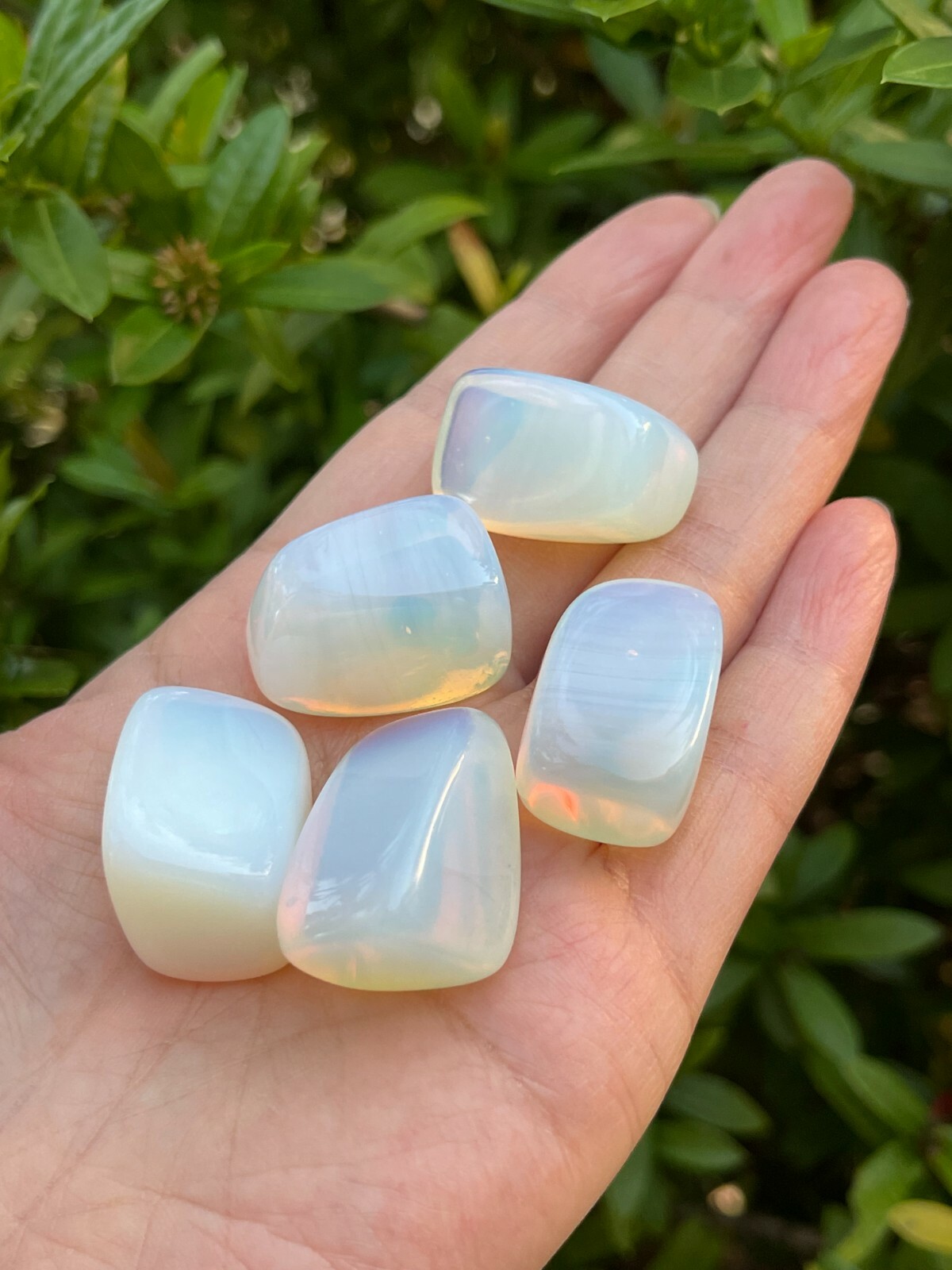 Grade A++ Opalite Tumbled Stones, 1-1.25 Inches Tumbled Opalite, Pick How Many