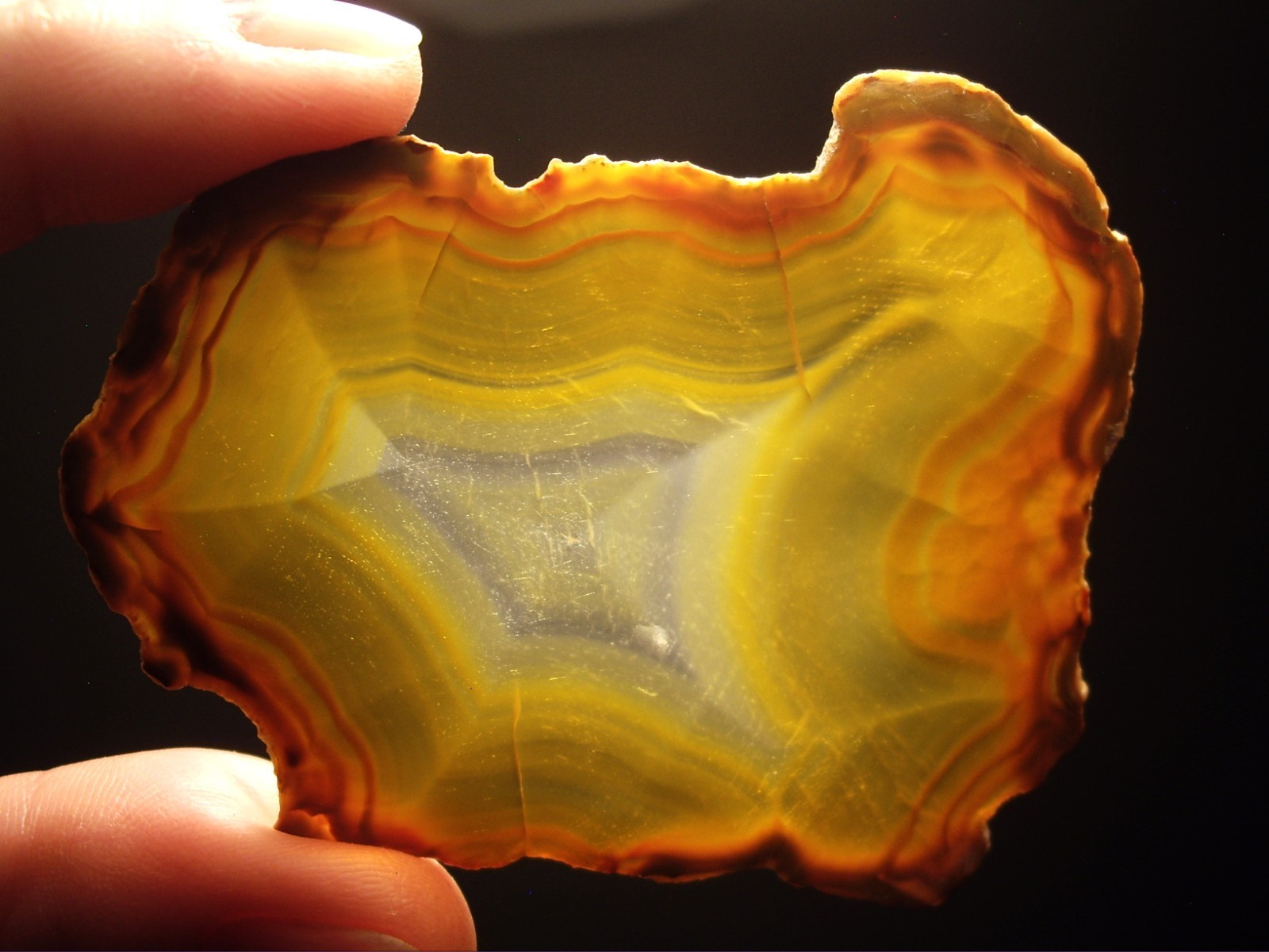 Rare Polished “Iris Agate” Slice with Backlight Color Bands from Indonesia 13.3g