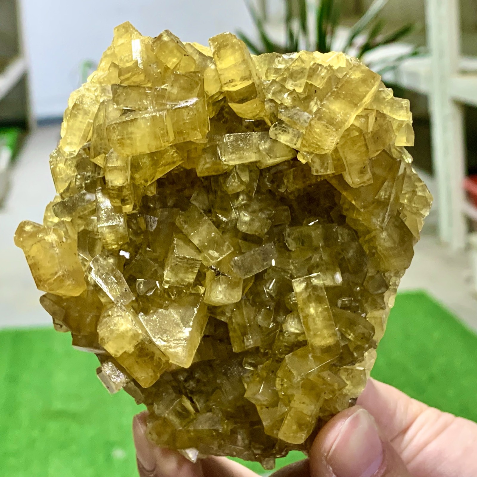 1.31LBShiny Golden Cuboid Barite Crystal Based on the Purple Spherical Fluorite