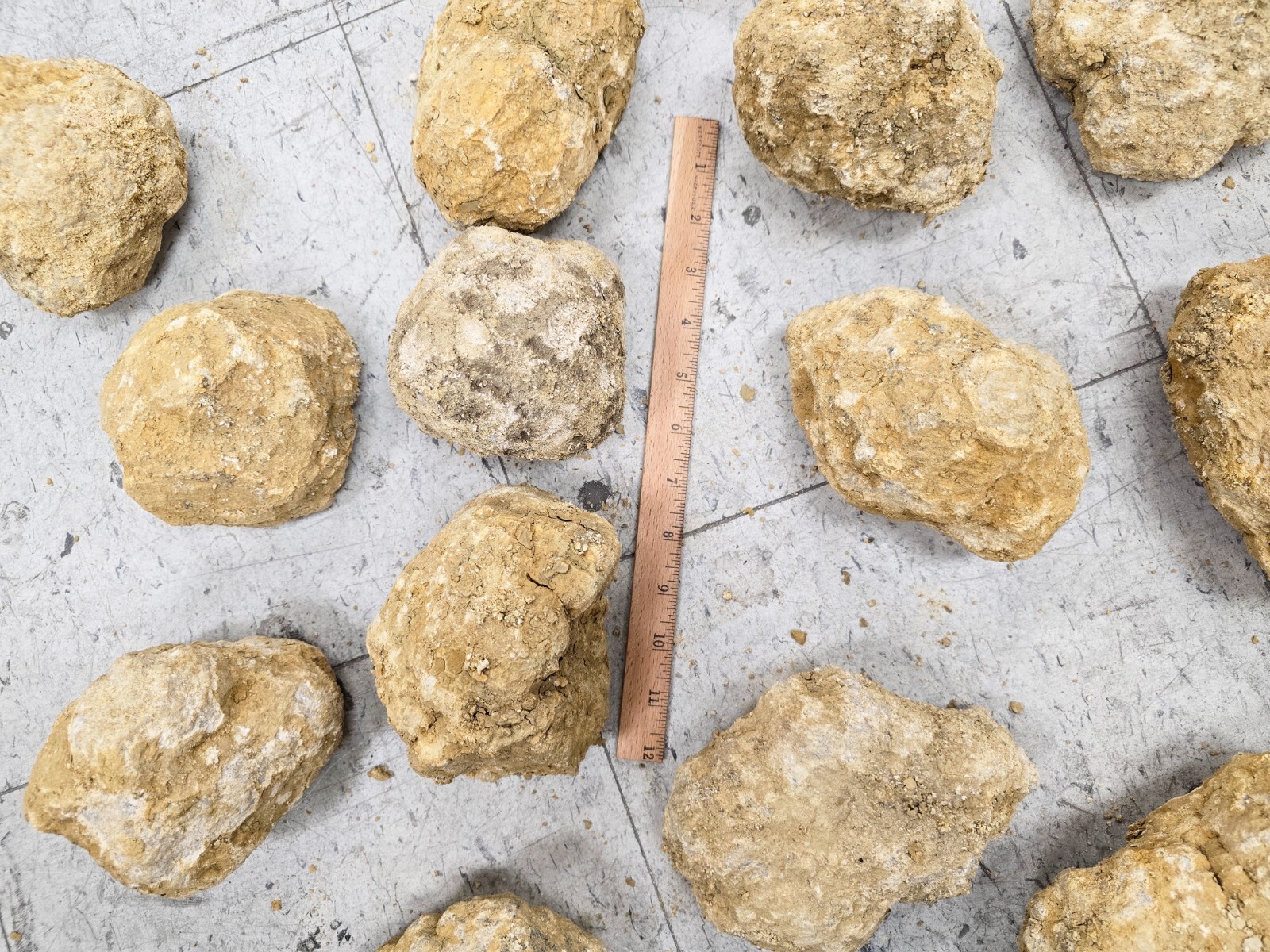 JUMBO Geode Break Your Own Unopened Quartz with Sparkly Quartz Inside Fun Gift