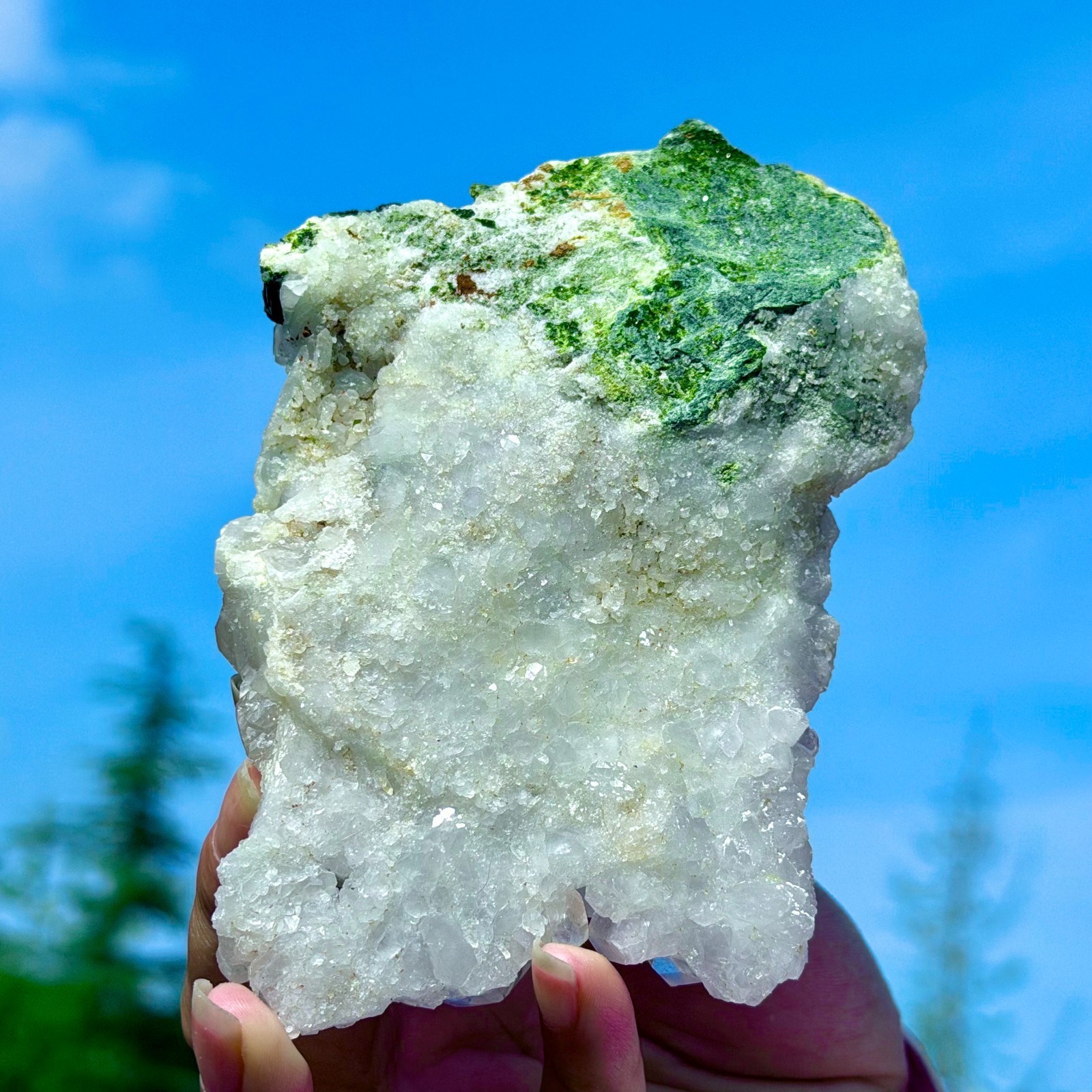 449G Rare!! Natural Clear Crystal with Epidote Garden Quartz Cluster Specimen