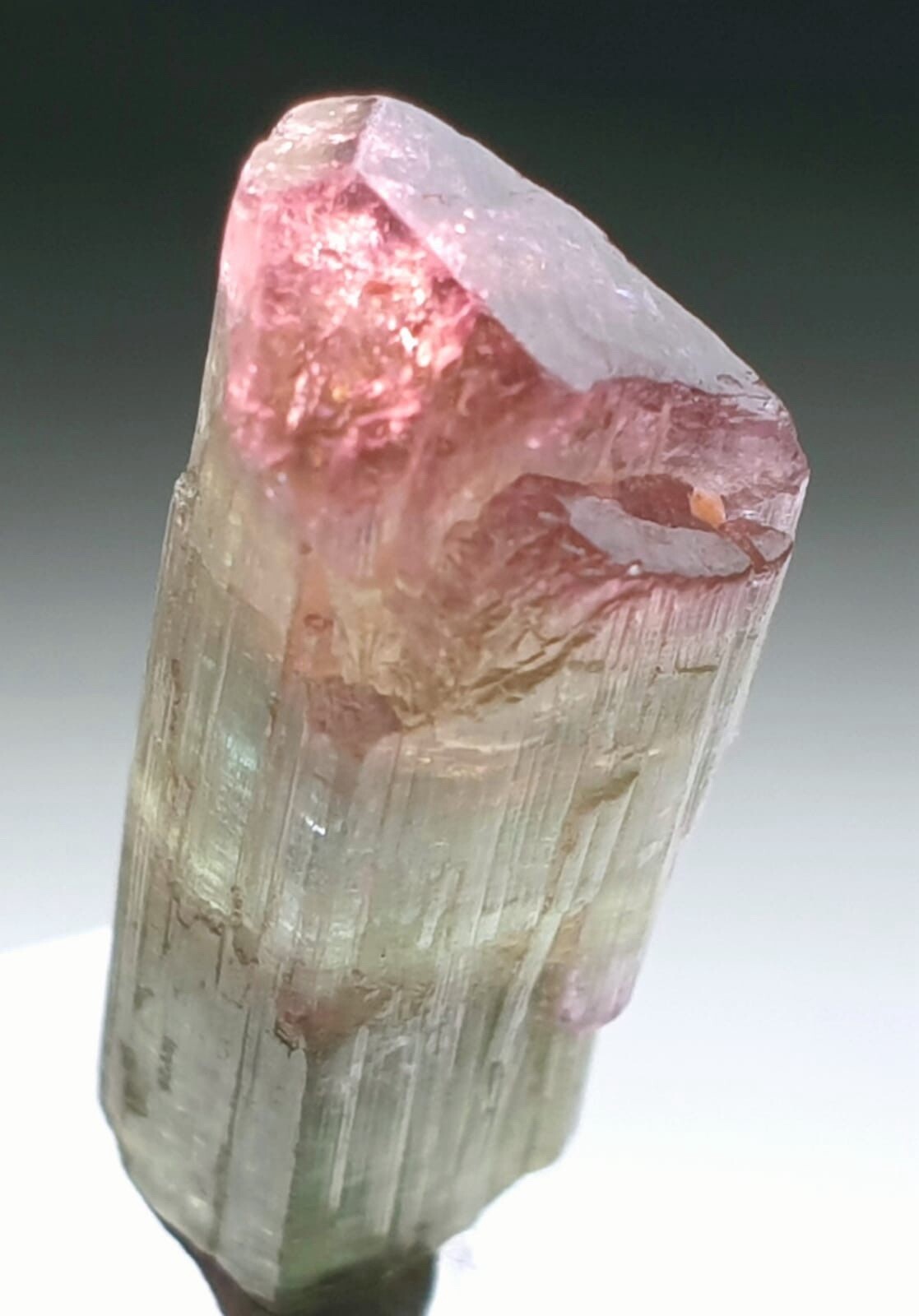 Saturated Multi Colour Terminated Tourmaline Crystal From Paprok Mine Afg