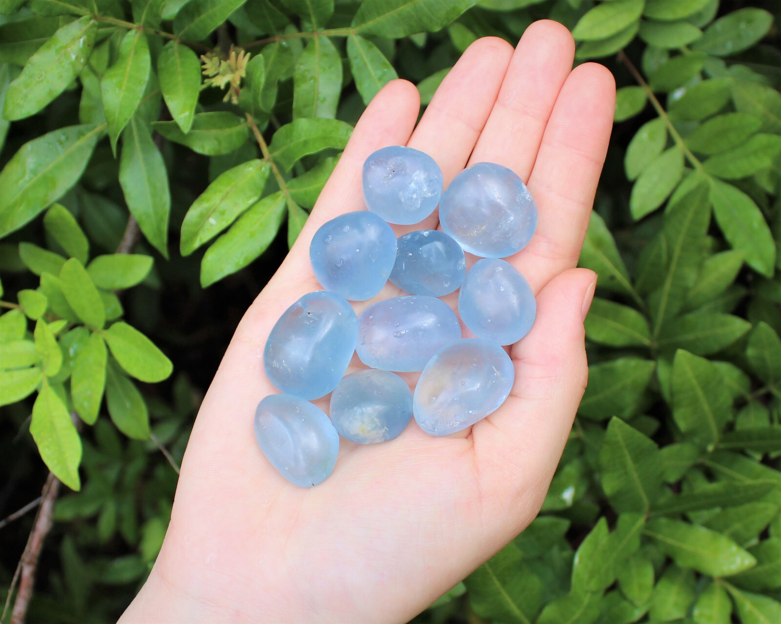 1 Medium Blue Celestite Tumbled Stone (Crystal Healing Rare Gemstone Celestine)