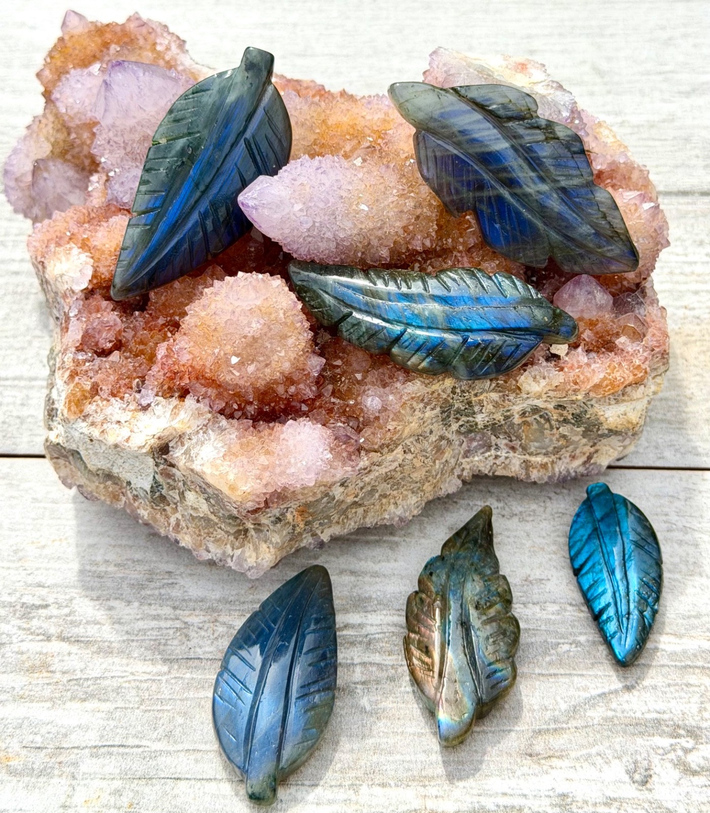Wholesale Lot 6 PCs Natural Labradorite Leaf Crystal Healing Energy