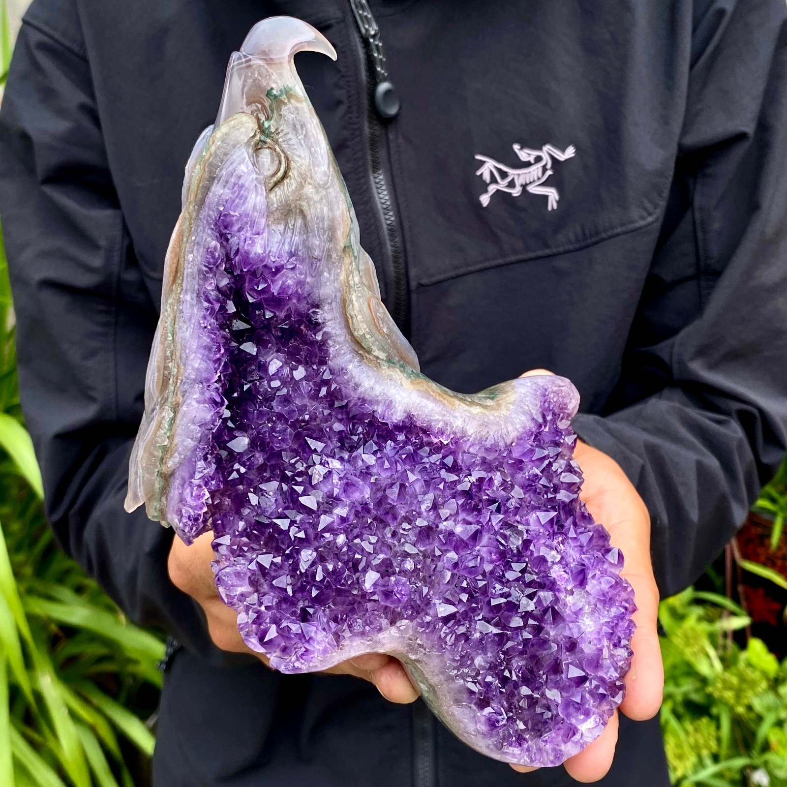 2.2LB Natural Amethyst Agate Geode Hand Carved eagle Quartz Crystal Decor