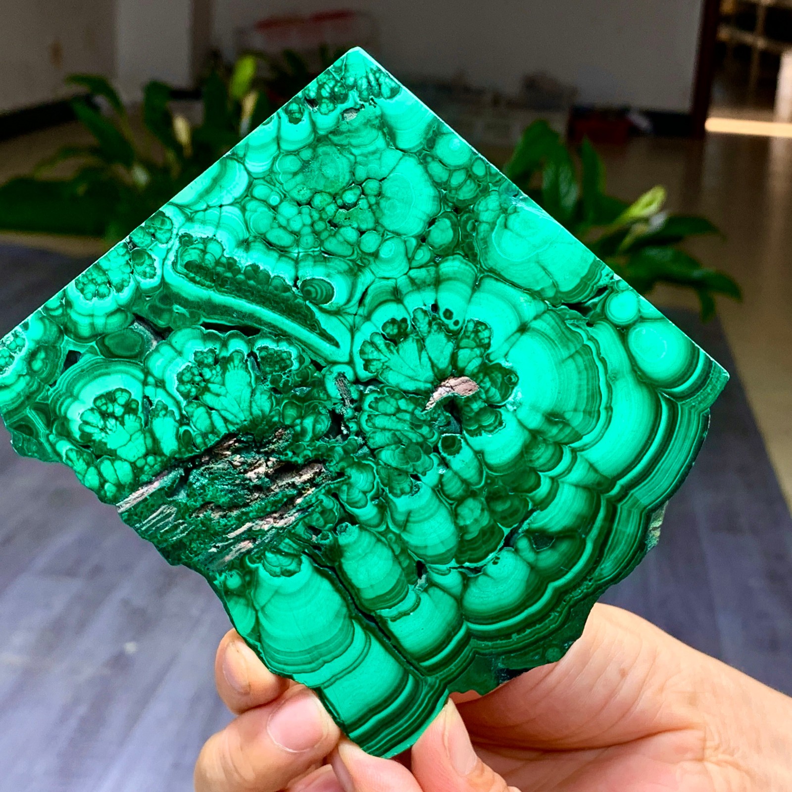 290G Natural glossy Malachite transparent cluster rough mineral sample