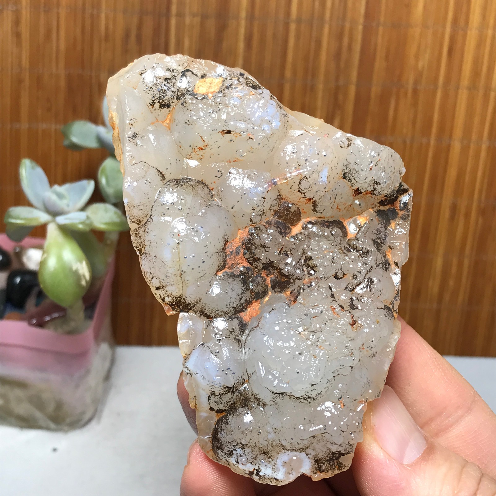 Natural Bonsai Suiseki Gobi Agate Eyes Stone-Stunning original View 146g A2830
