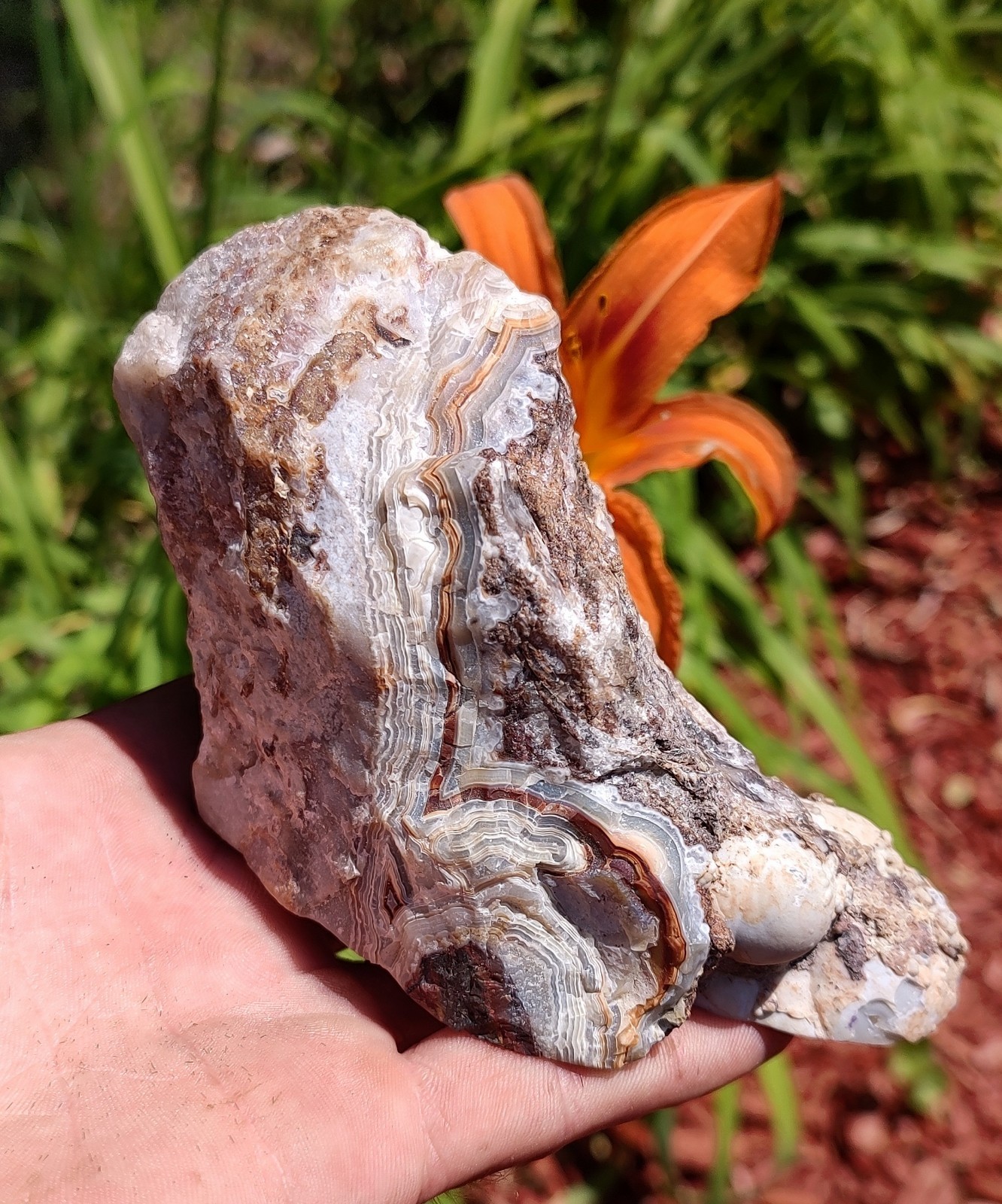 Mexican Crazy Lace Banded Agate, 722g Outstanding Face Polished, Display Agate