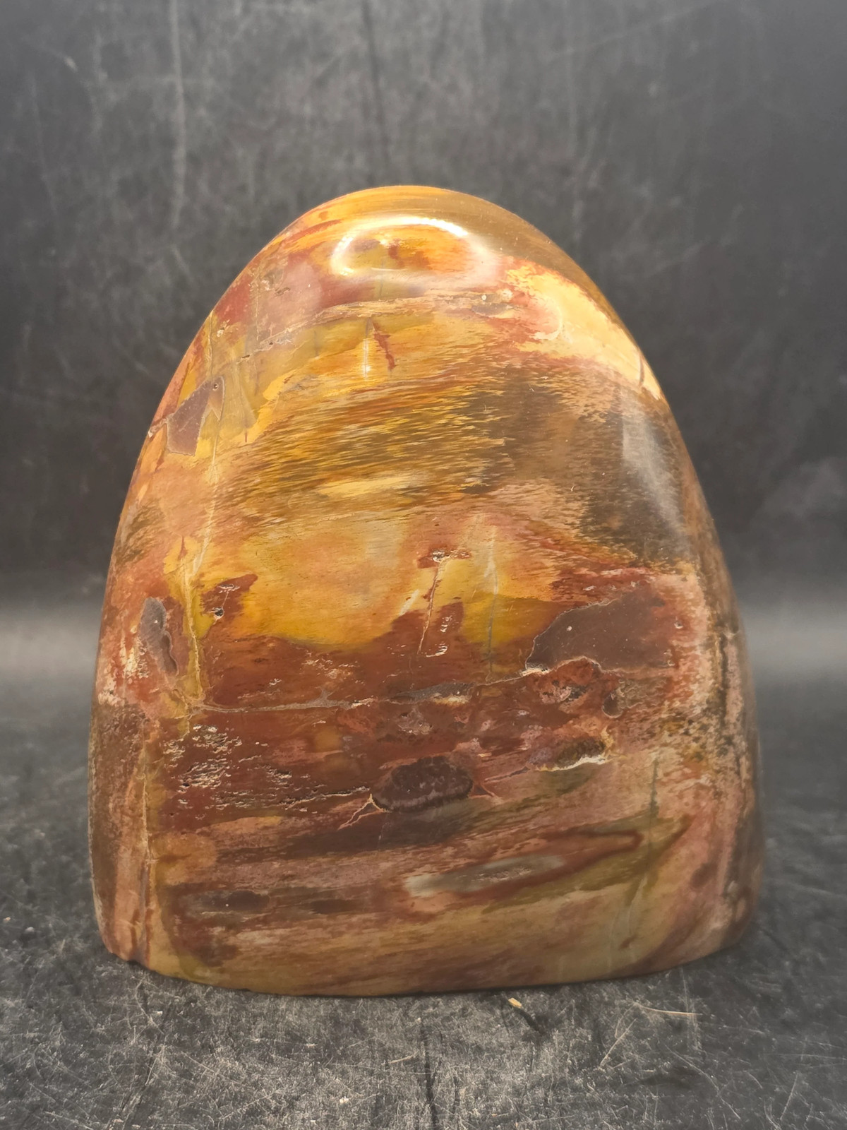 Petrified wood free form! 1.5 pounds, 3.7 inches tall, 3.3″ wide!