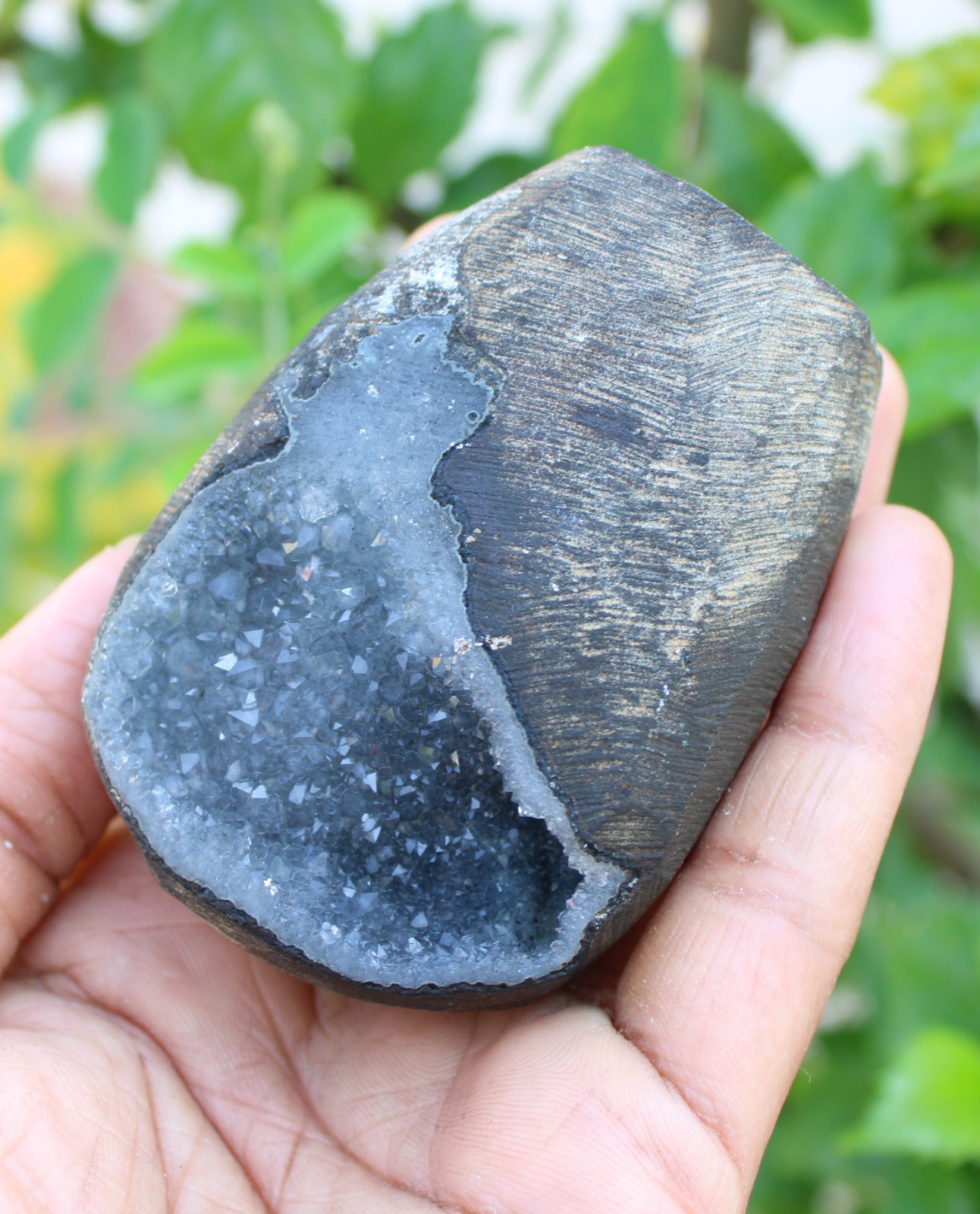 chalcedony coral geode minerals specimen #A43