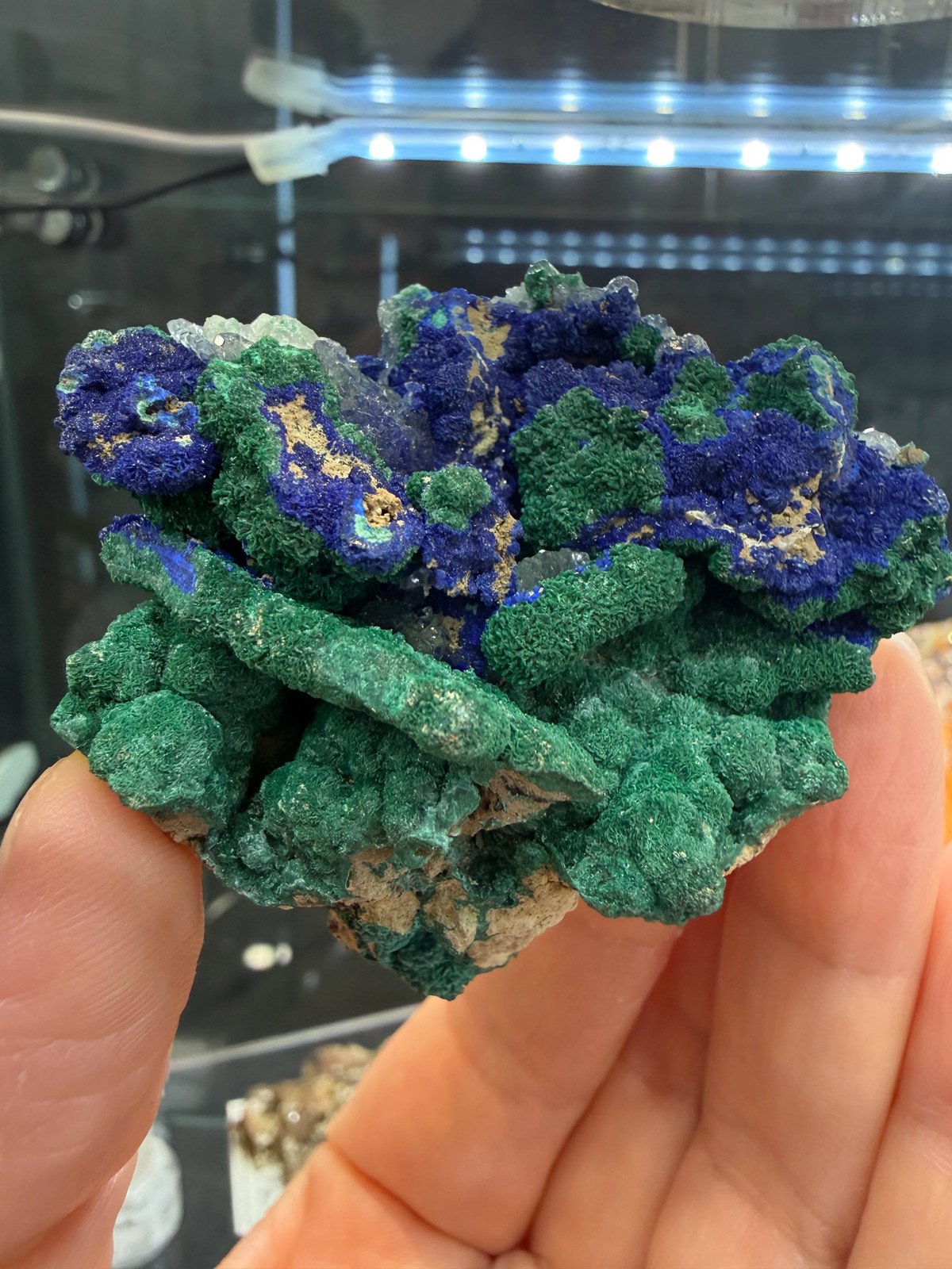 Azurite, Malachite ps Selenite, Calcite- Apex Mine, Washington County, Utah, USA