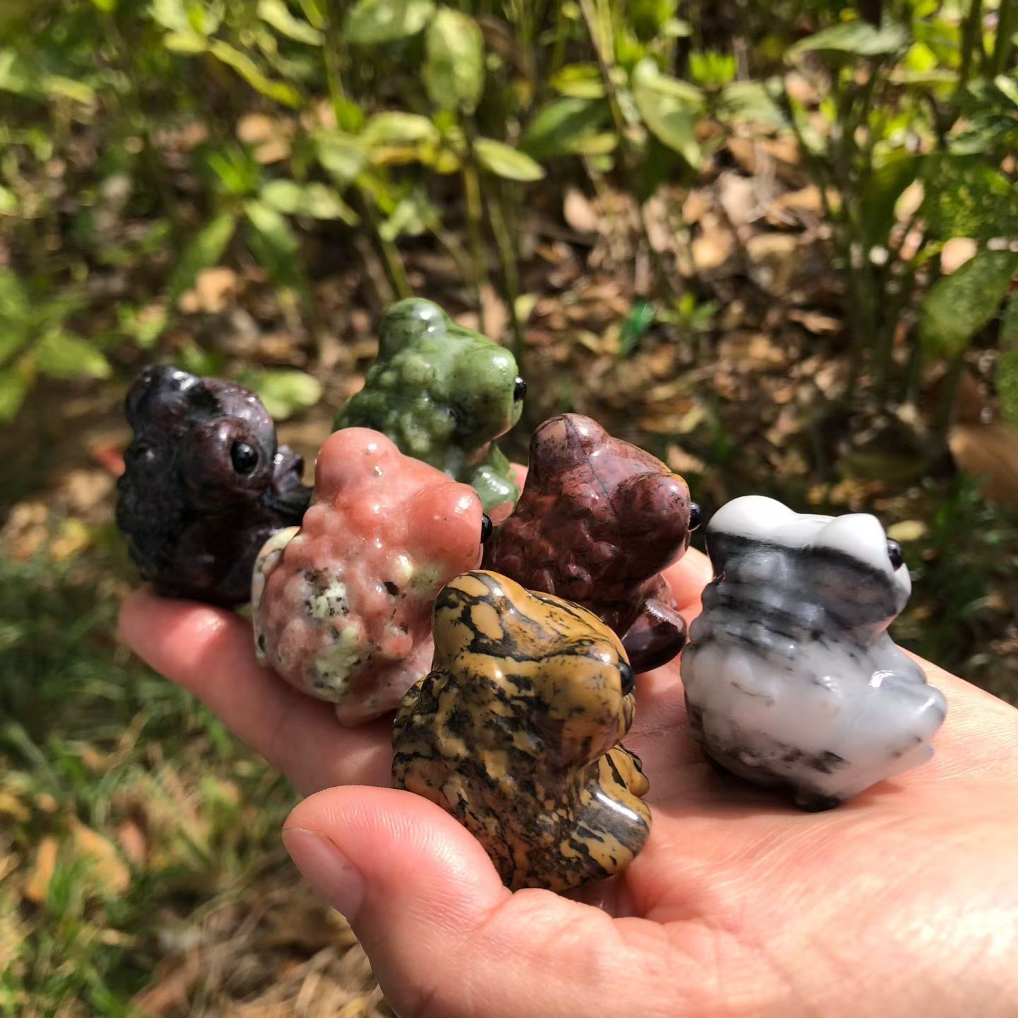 5pc Natural Mixed Quartz hand Carved Crystal Frog skull reiki healing gift Decor