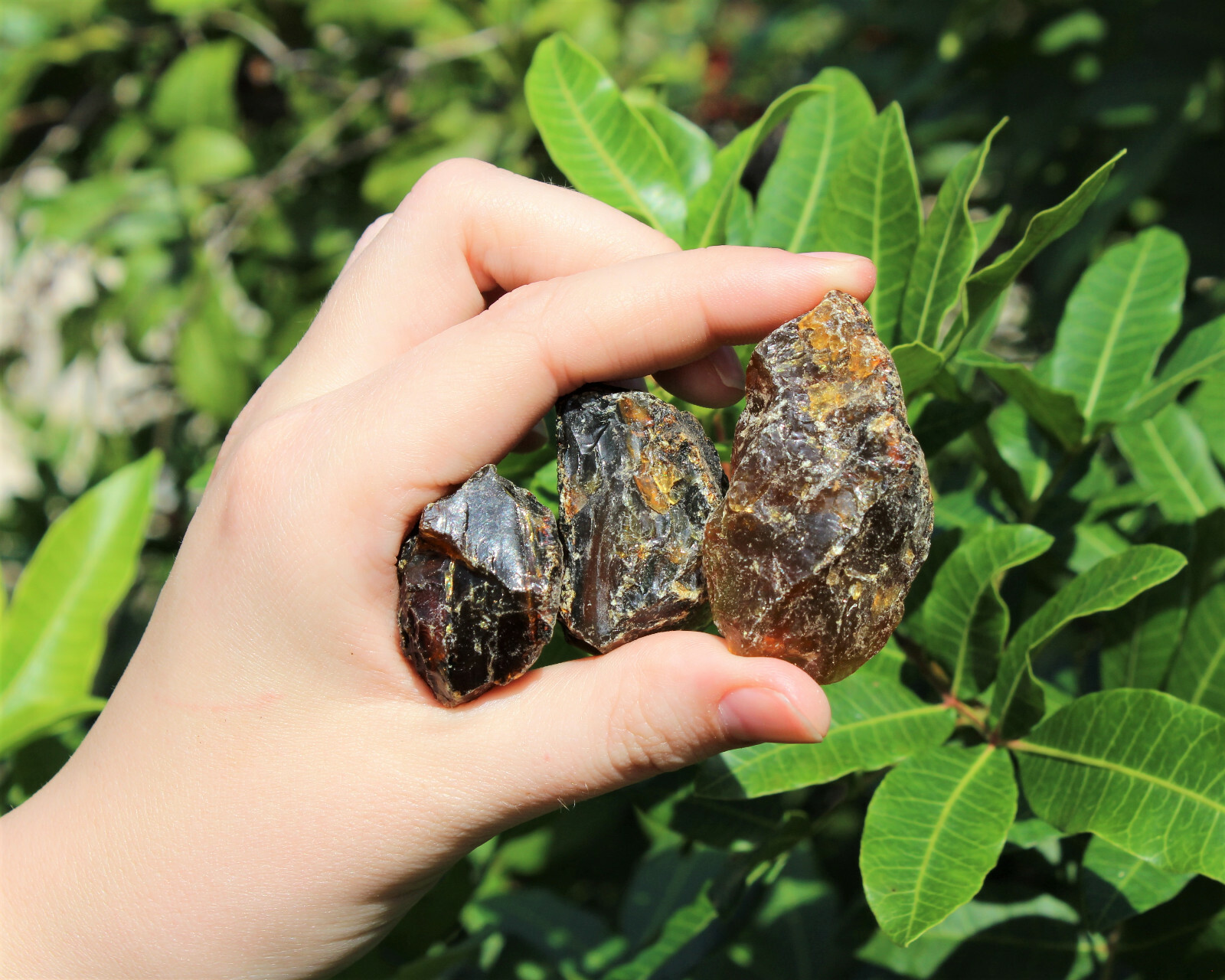 Indonesian Raw Amber Wholesale Bulk lots (Natural Rough Black Amber Crystals)