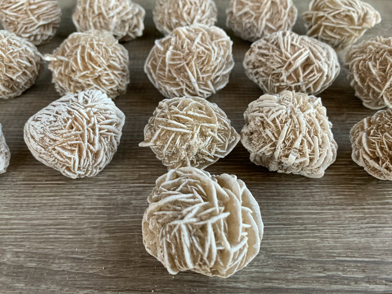 Desert Rose Selenite, 1.25-1.75 Inch Desert Gypsum Rose, Wholesale Bulk Lot