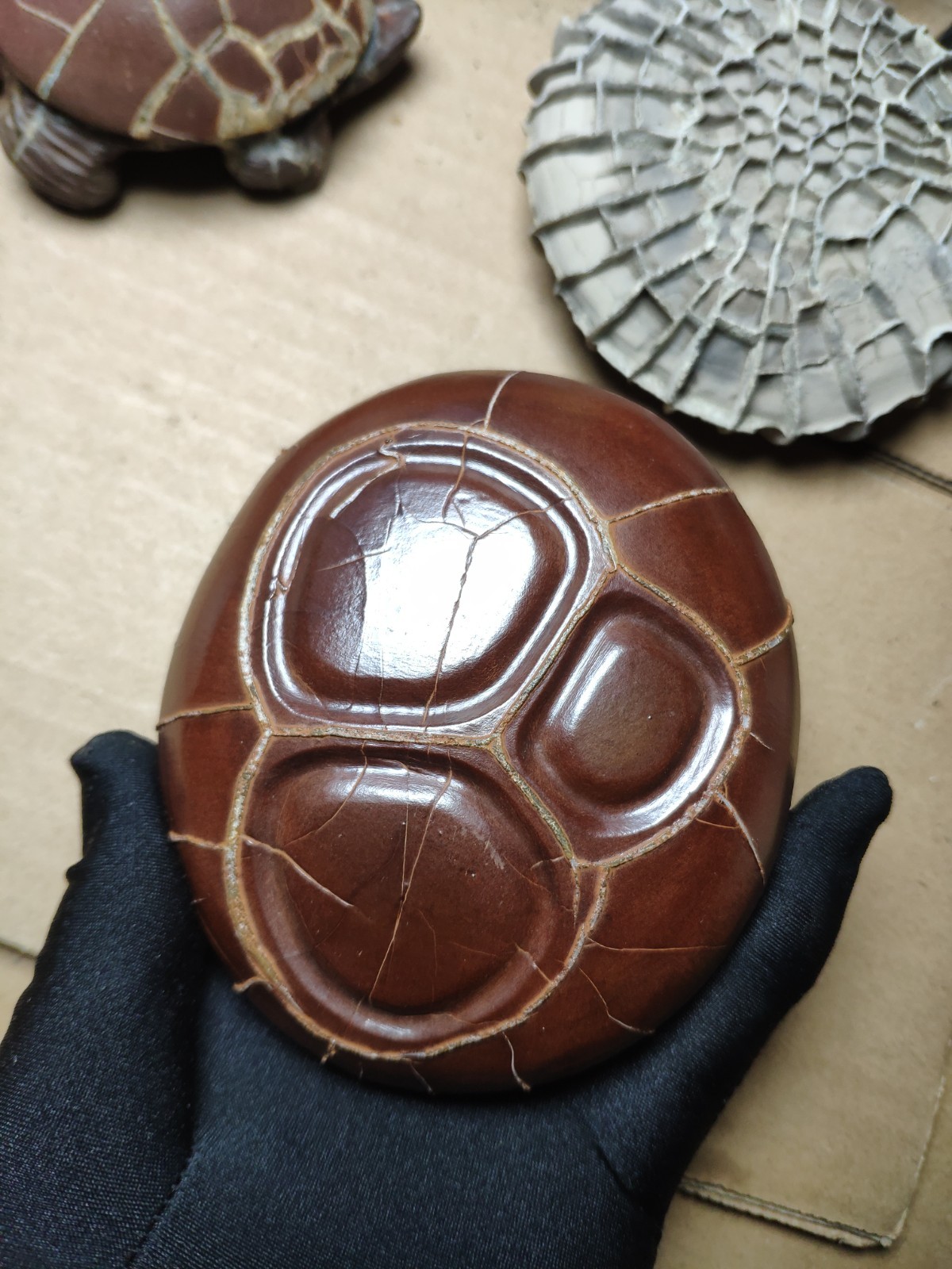 680g beautiful Natural tortoise back pattern stone Landscape stone