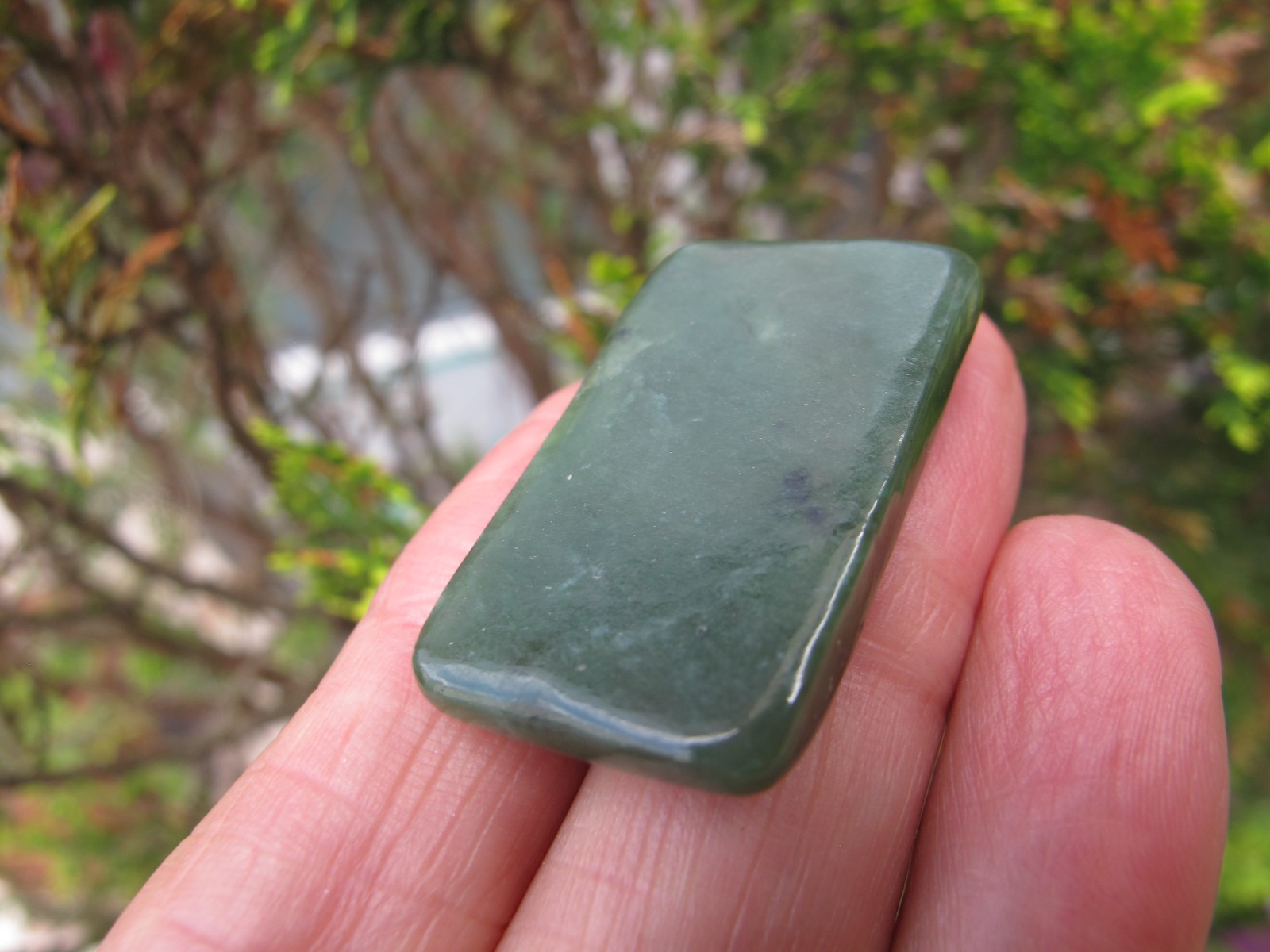 Nephrite Jade Authentic Crystal Polished Palm flat stone A luck heart chakra 8g