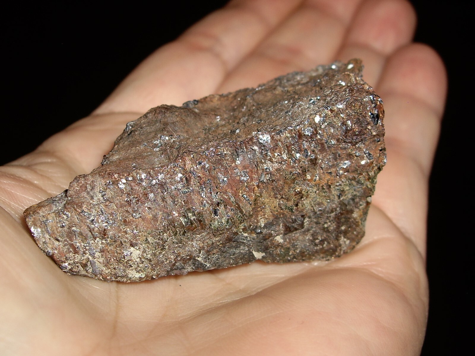Shiny Molybdenite Sprinkles on Unknown Host Rock 79.5g